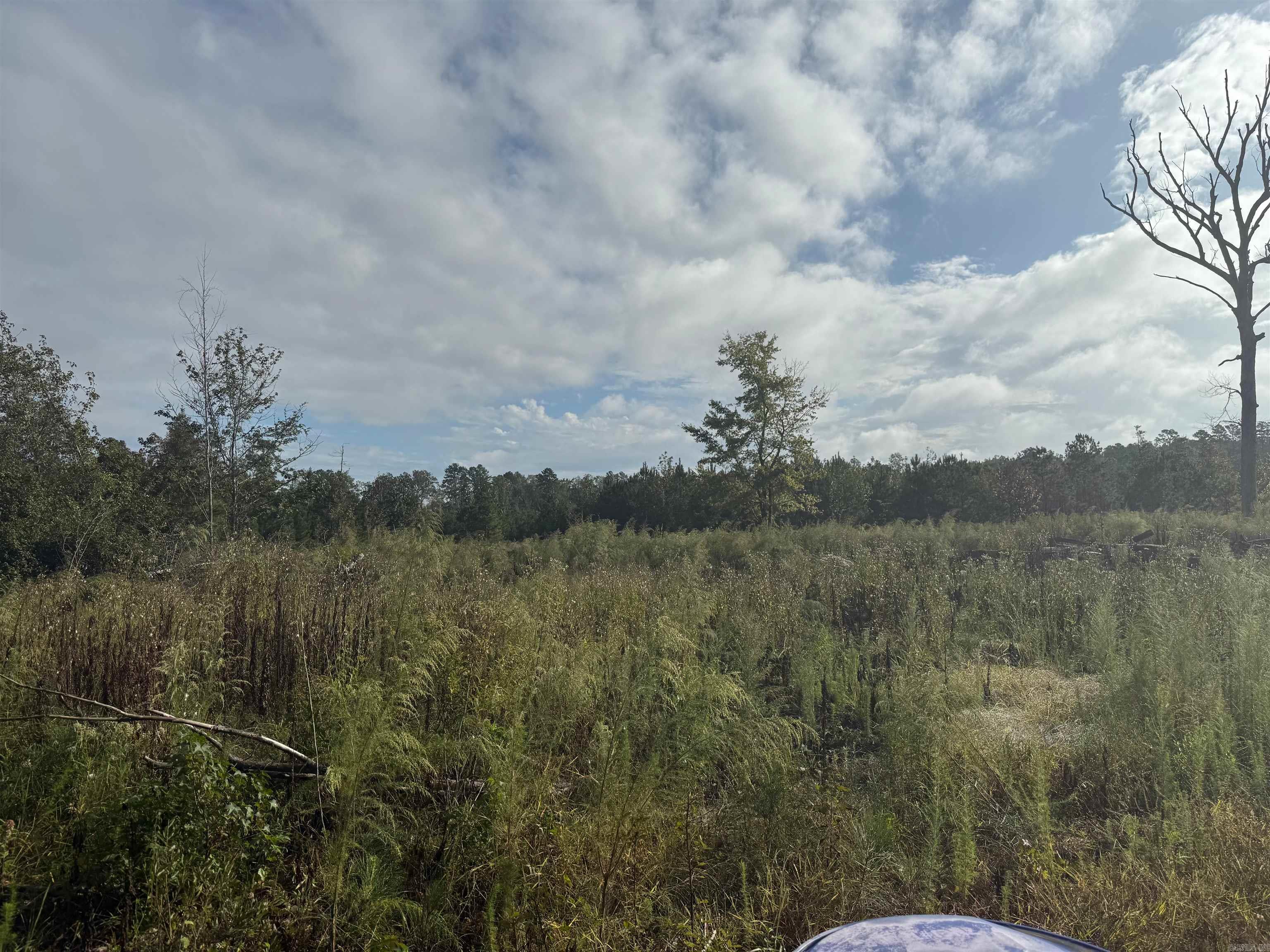 0 E 190  White Hall, AR