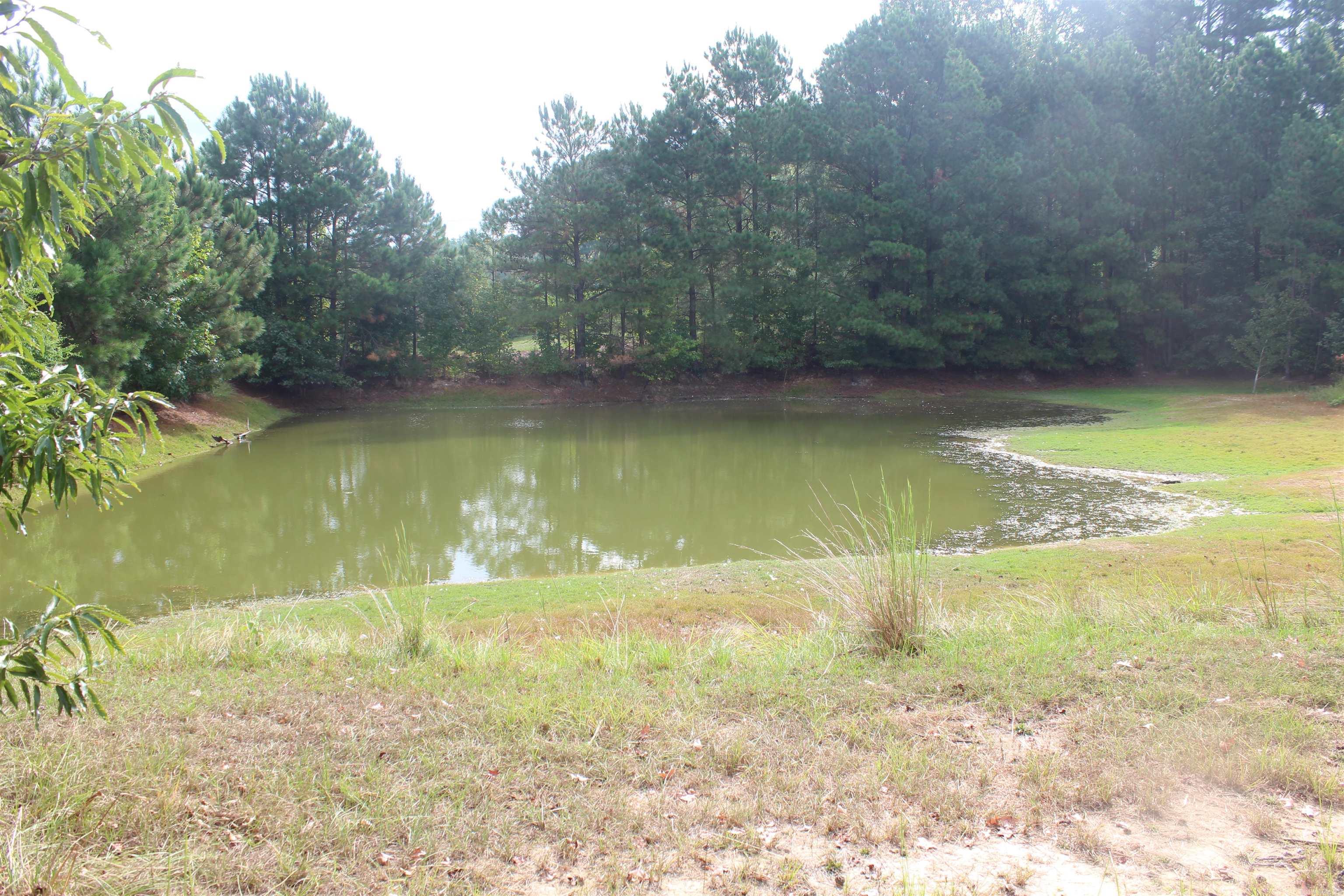 3296 hwy 278 E  Hope, AR