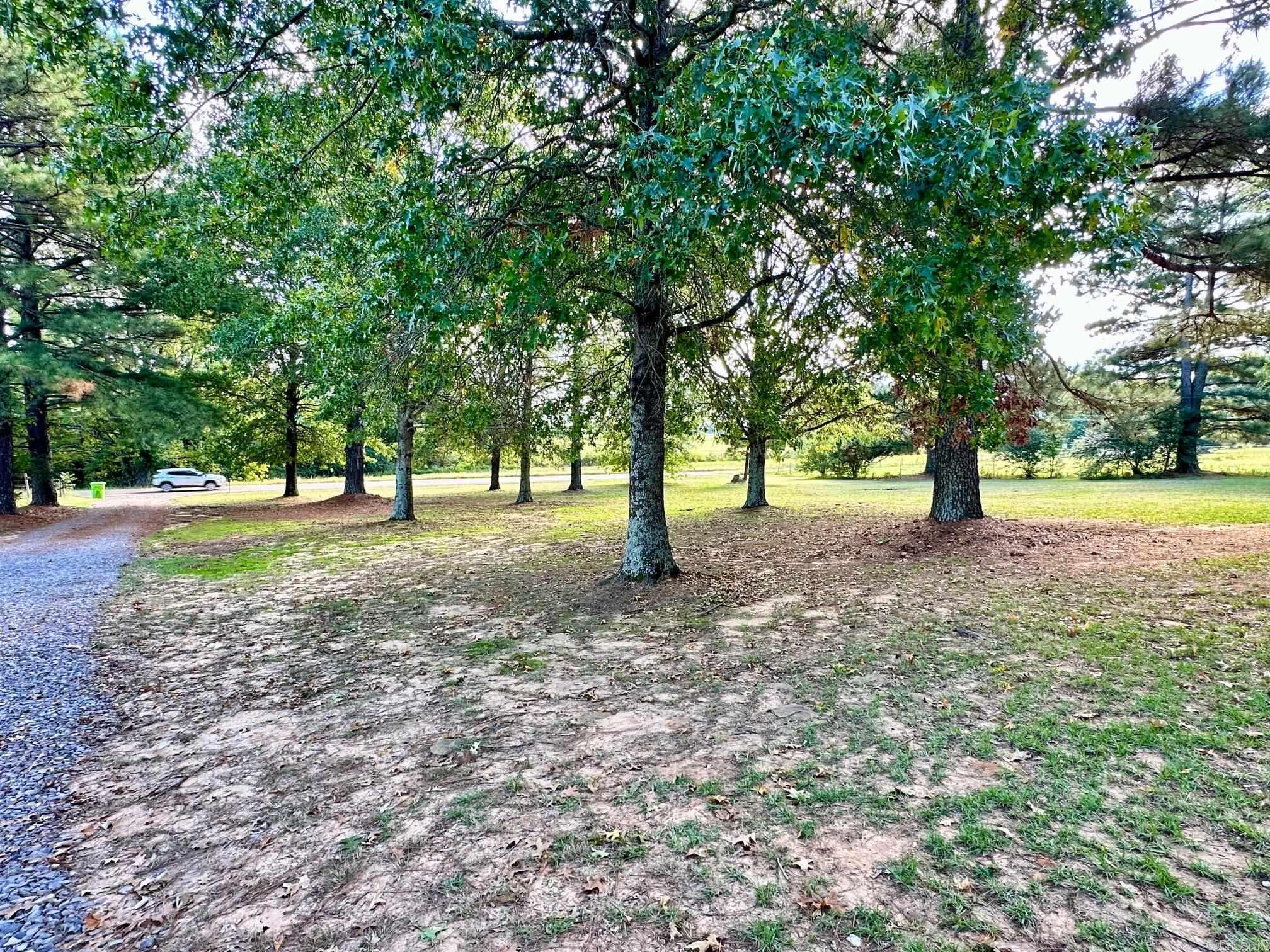 3520 Highway 21  Clarksville, AR