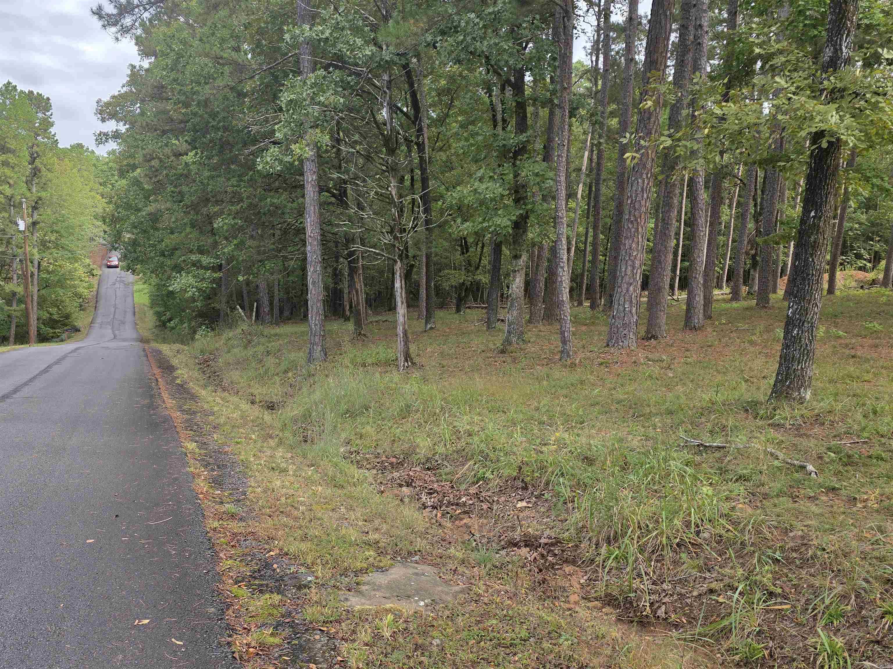 149 View Drive  Shirley, AR