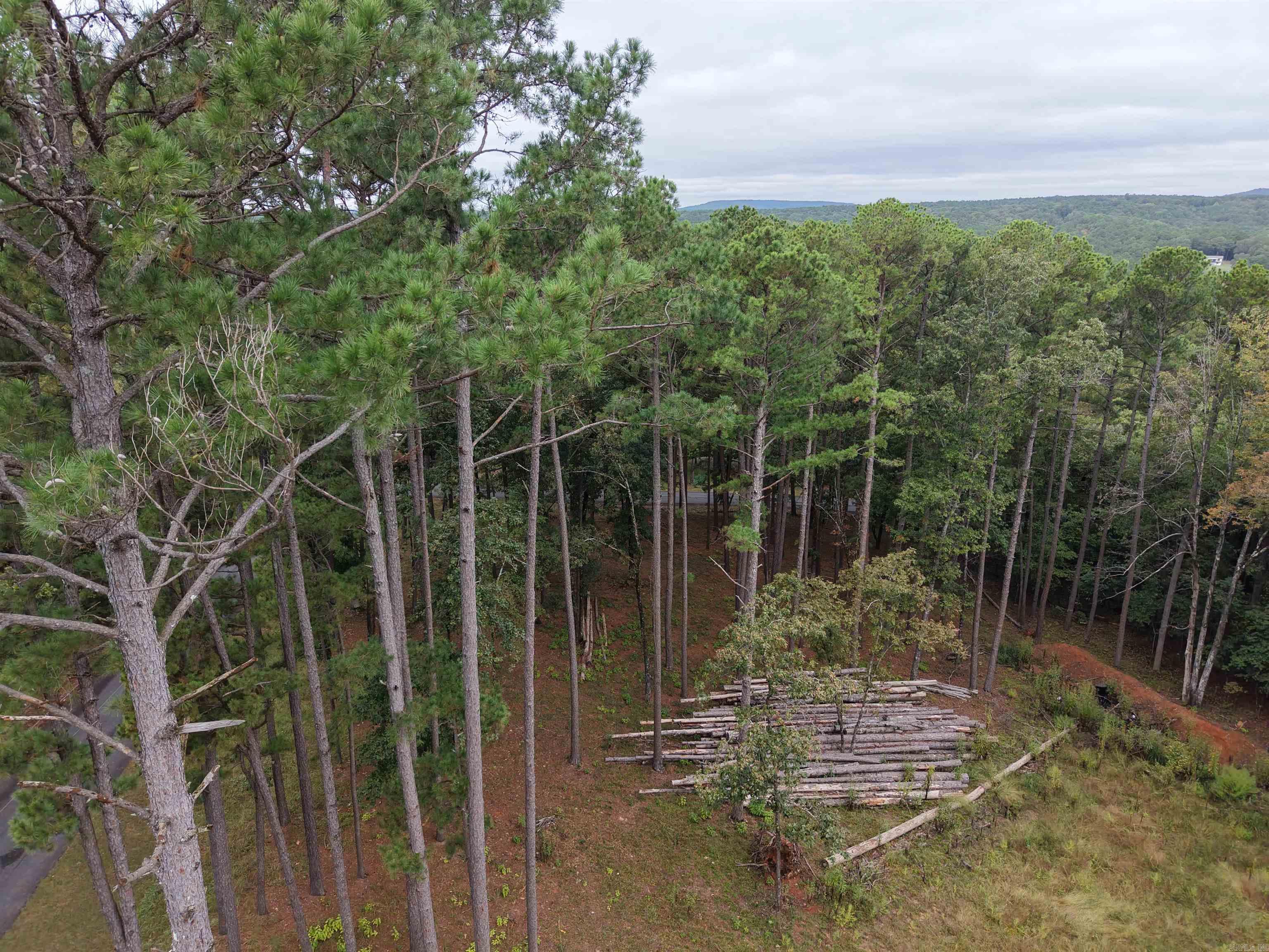 149 View Drive  Shirley, AR