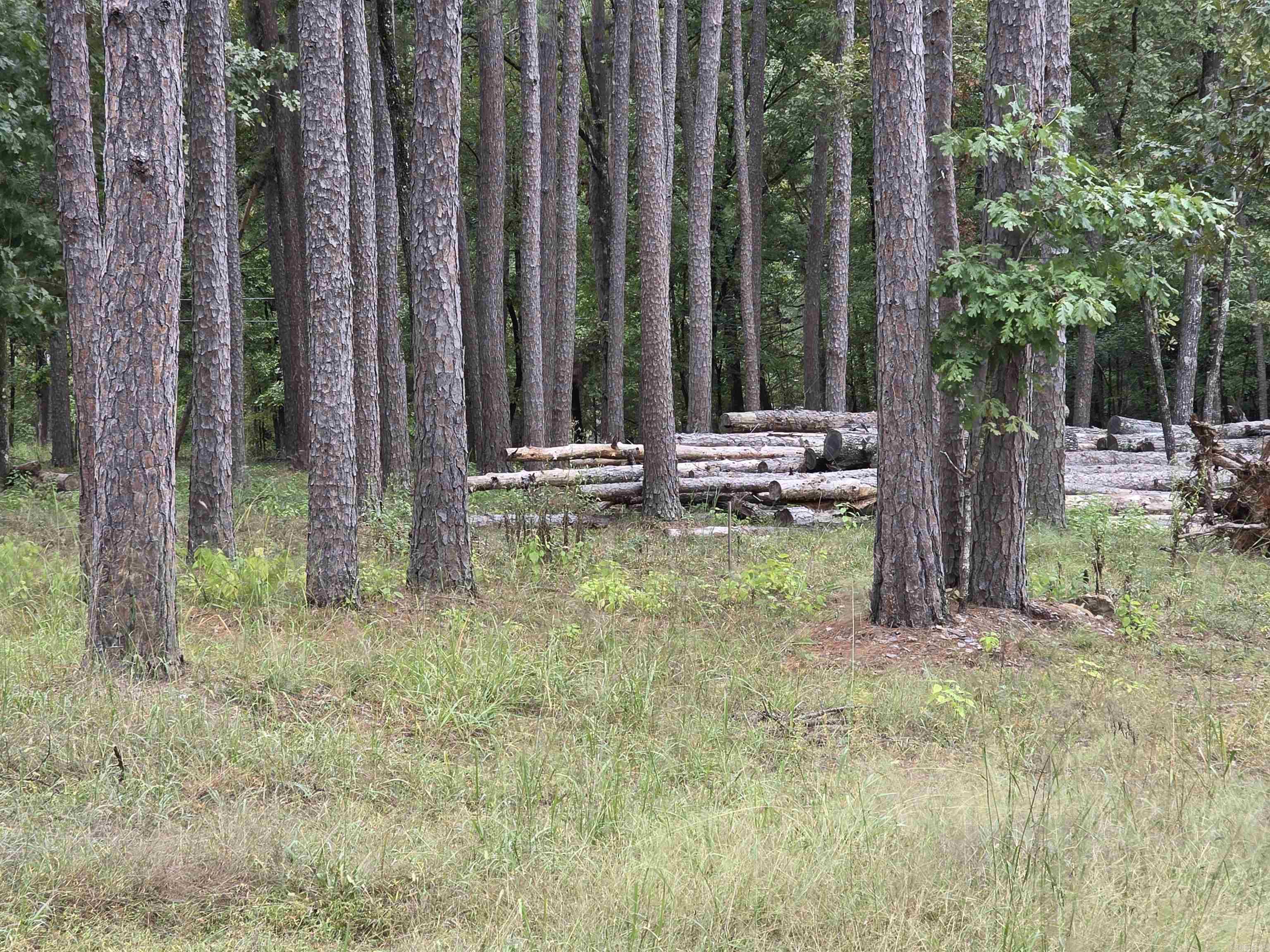 149 View Drive  Shirley, AR