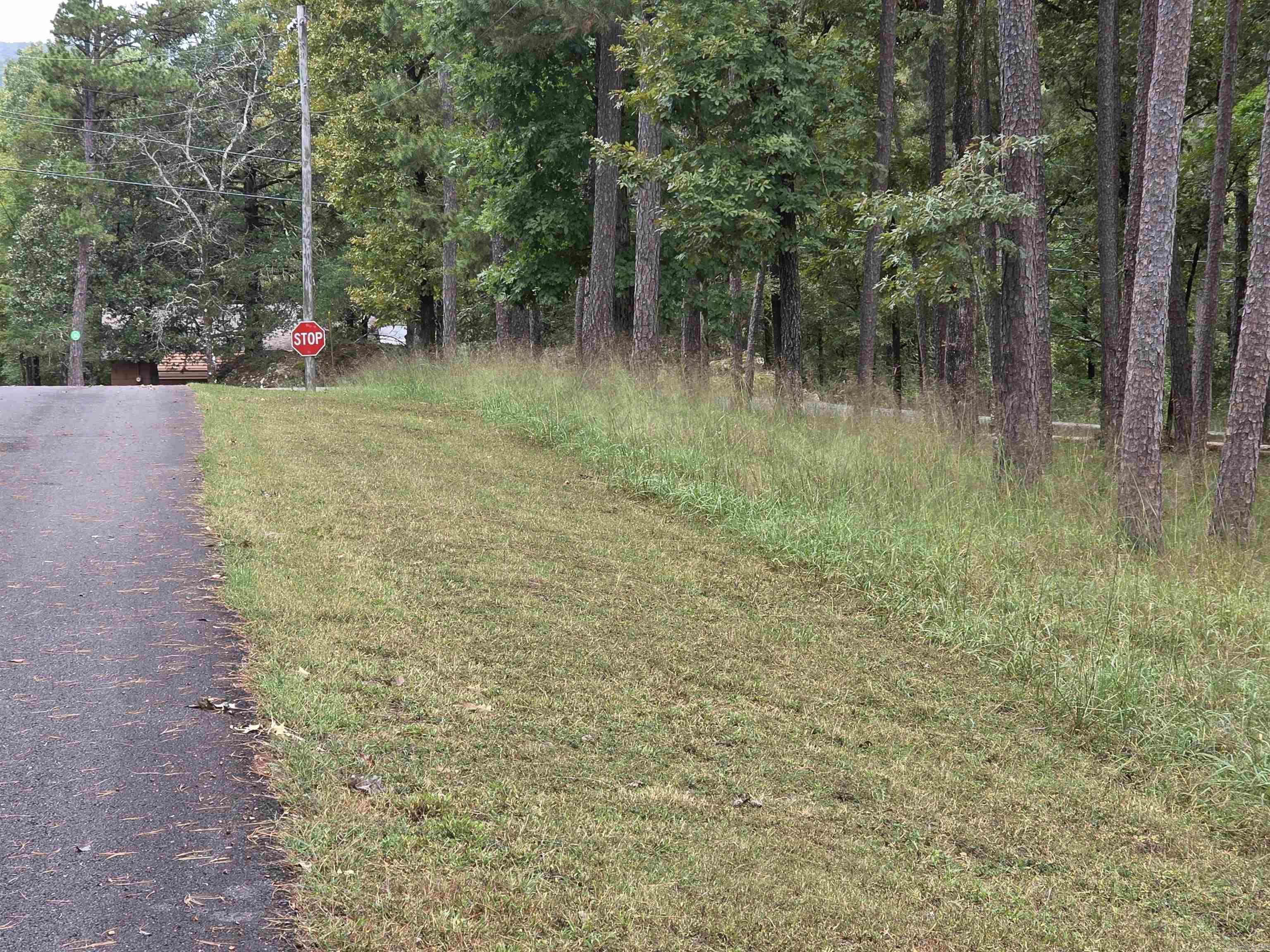 149 View Drive  Shirley, AR