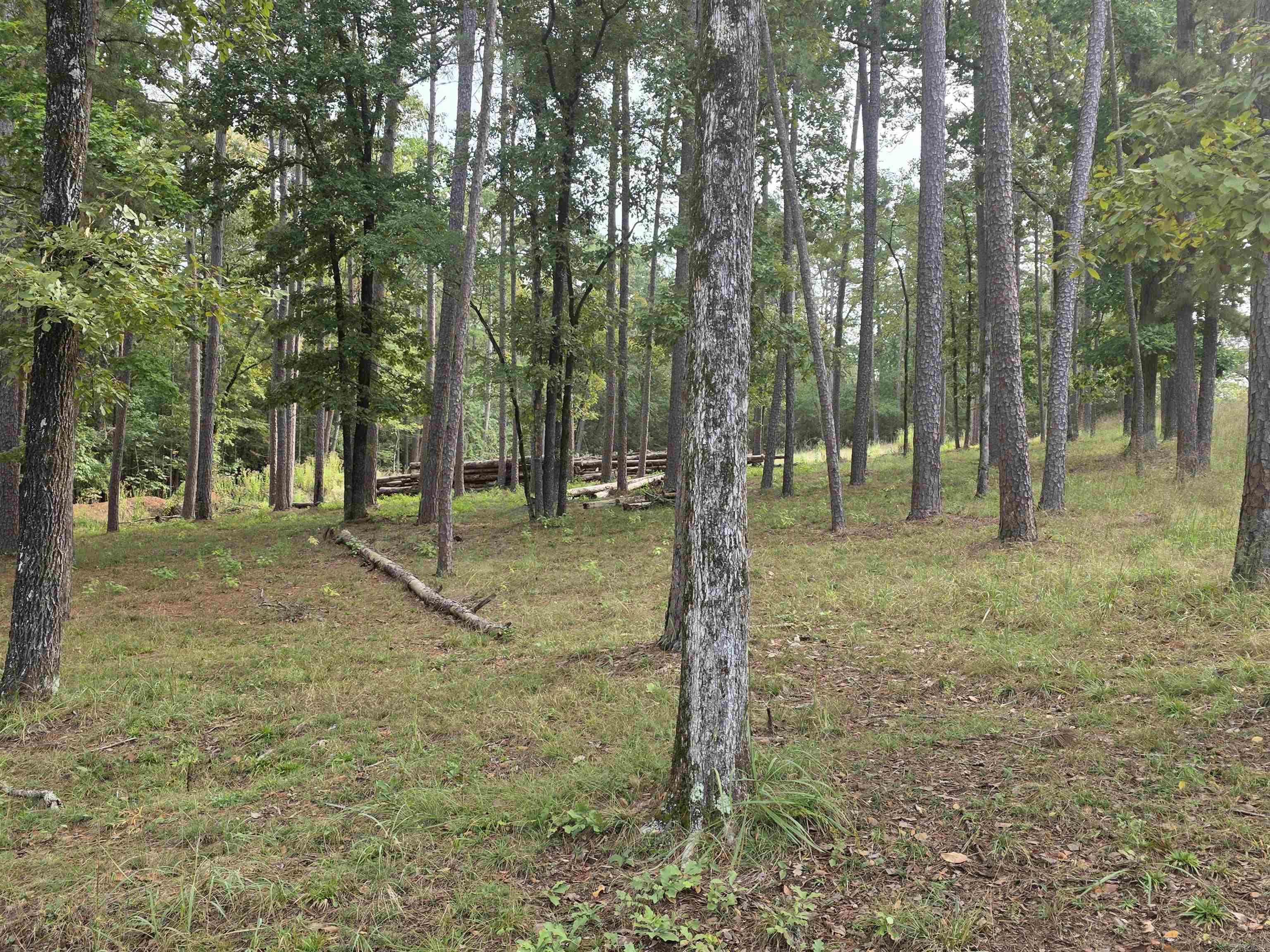 149 View Drive  Shirley, AR