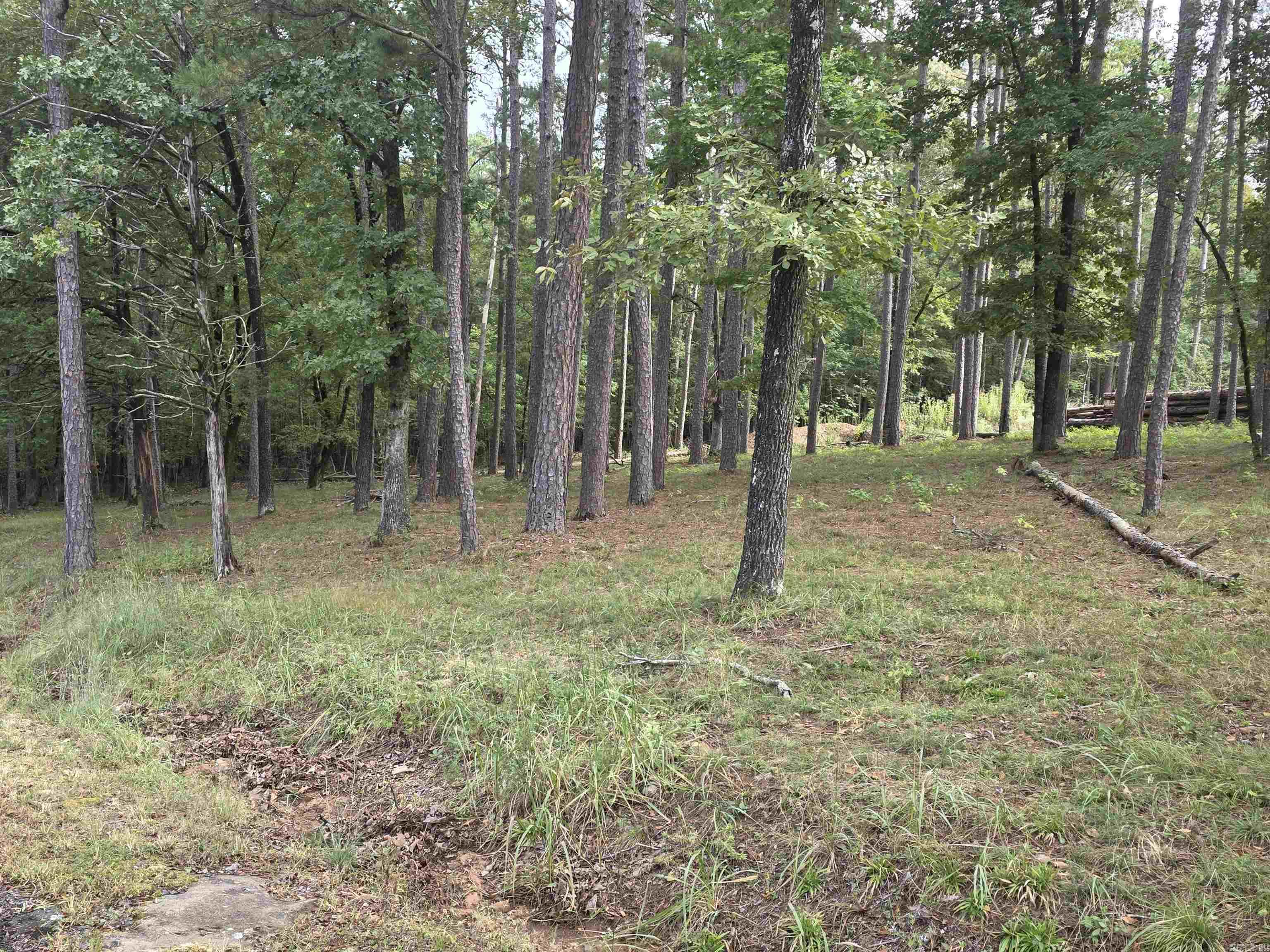 149 View Drive  Shirley, AR