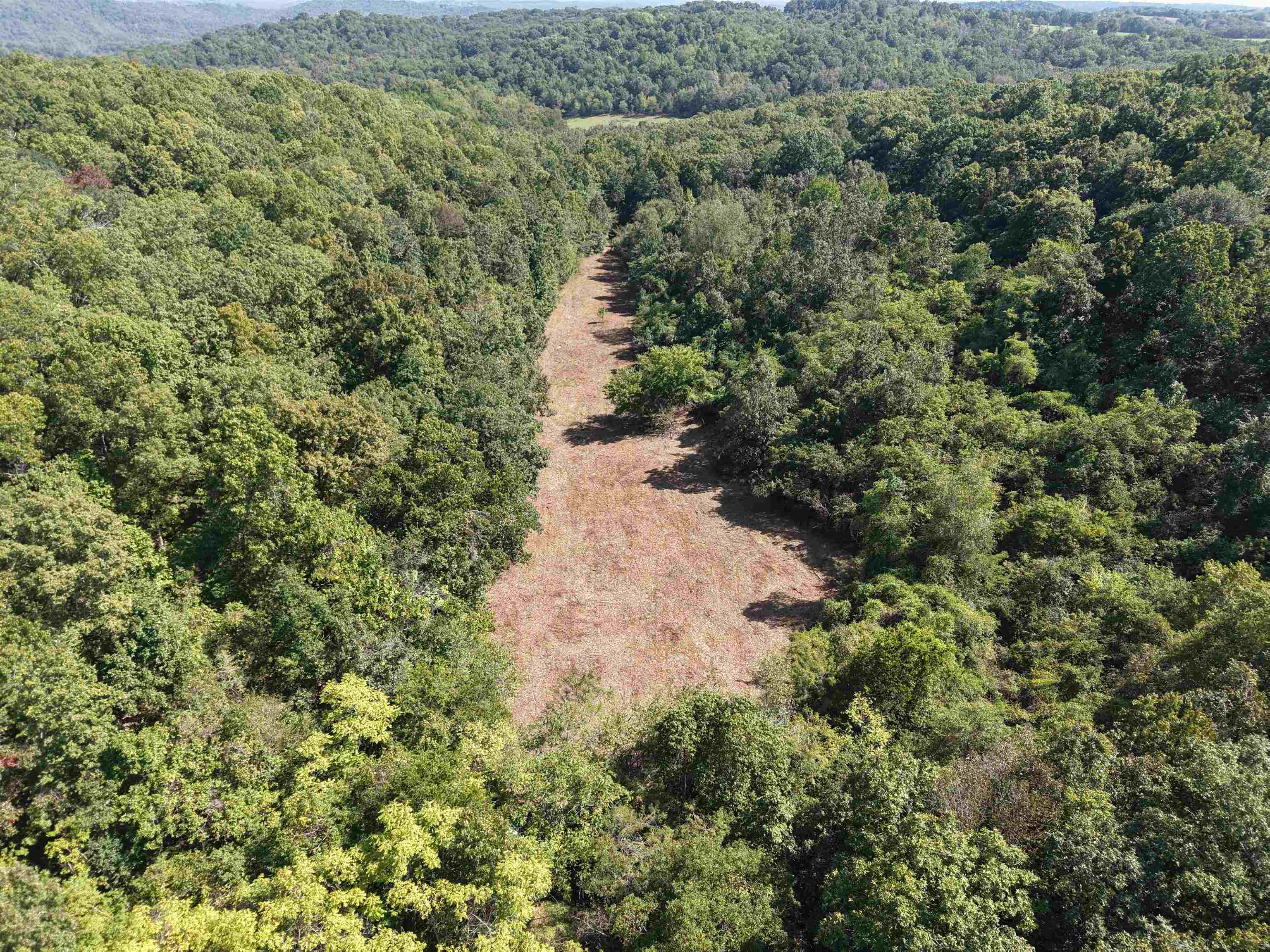 84A County Road 154  Mount Pleasant, AR