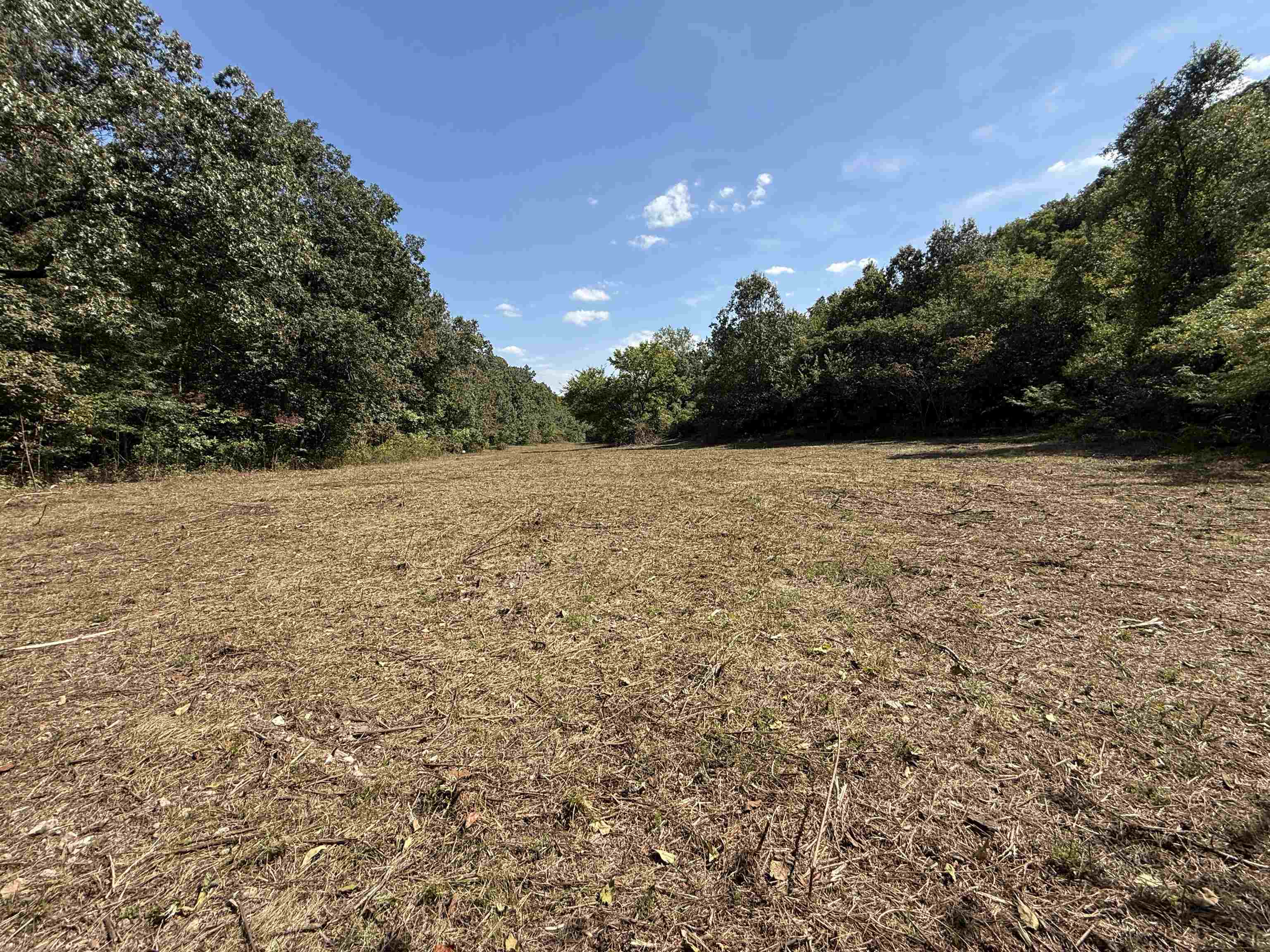 84A County Road 154  Mount Pleasant, AR