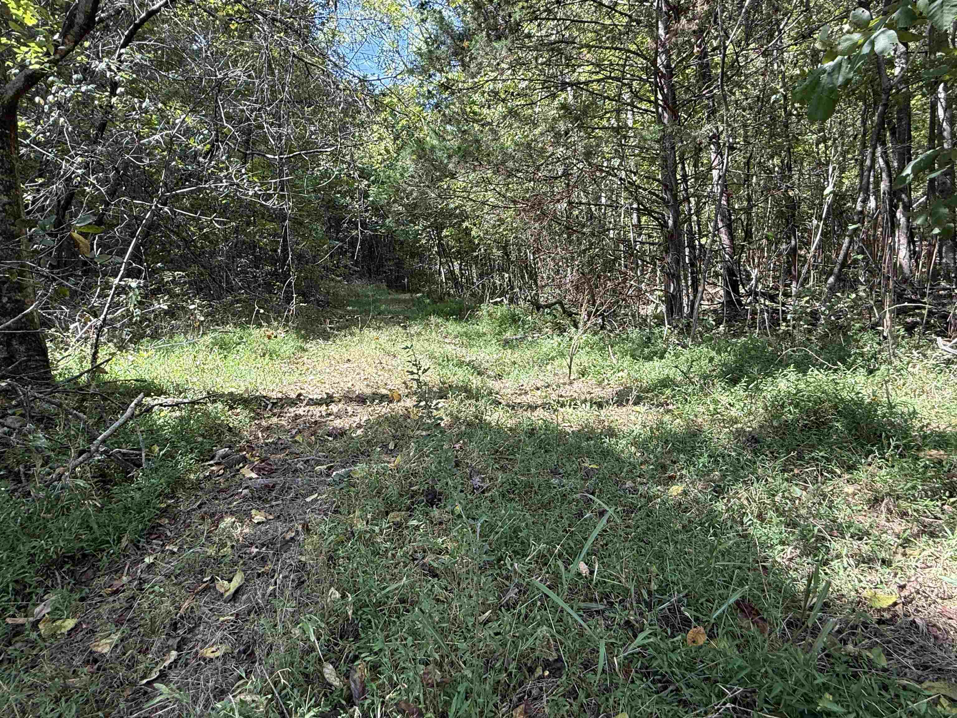 84A County Road 154  Mount Pleasant, AR