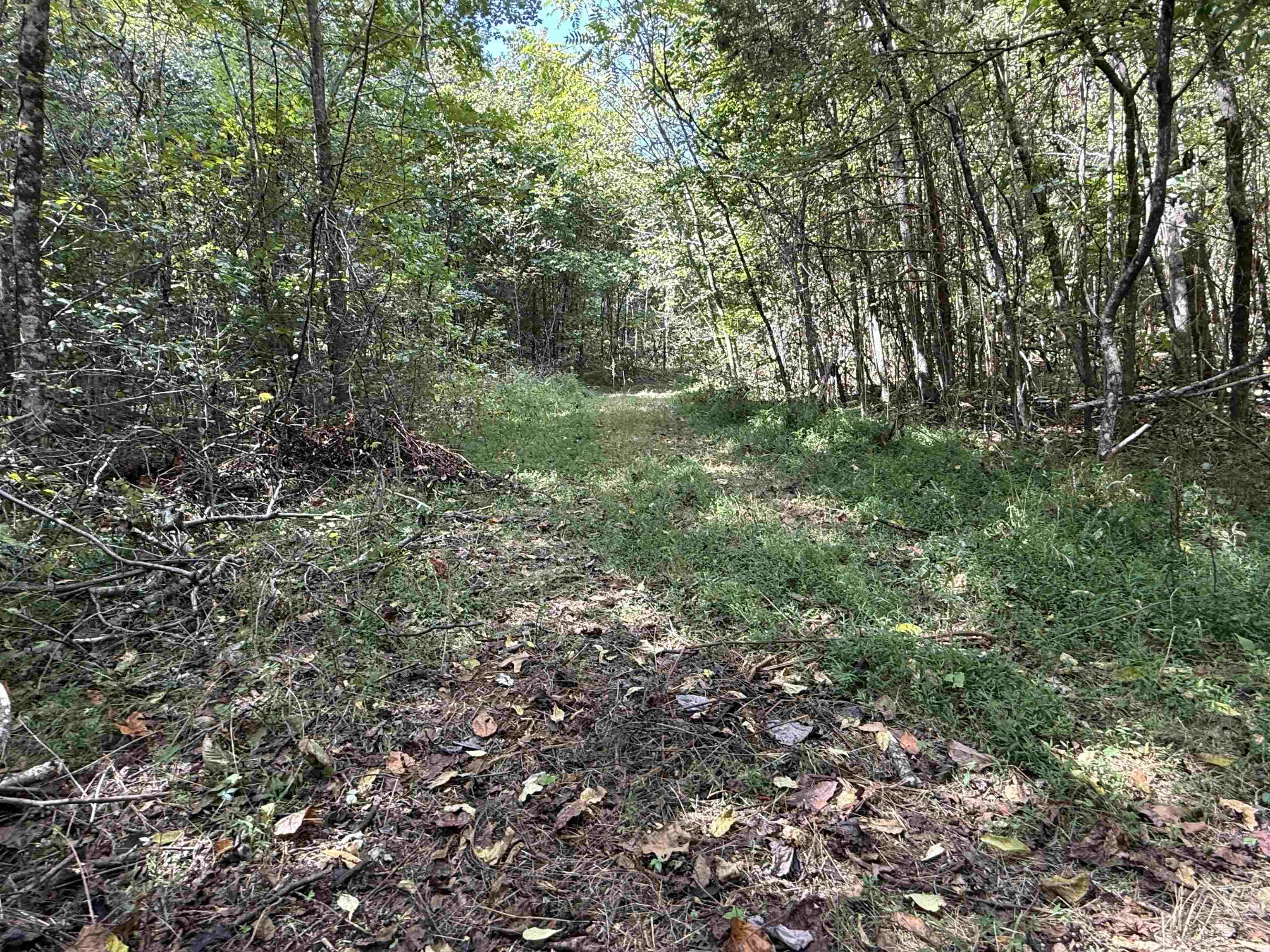 84A County Road 154  Mount Pleasant, AR
