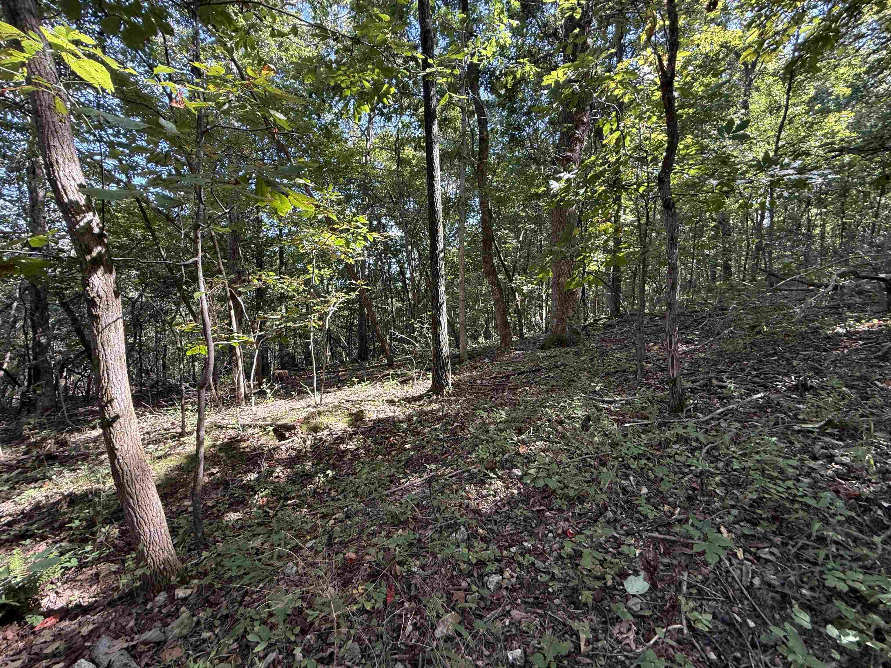 84A County Road 154  Mount Pleasant, AR