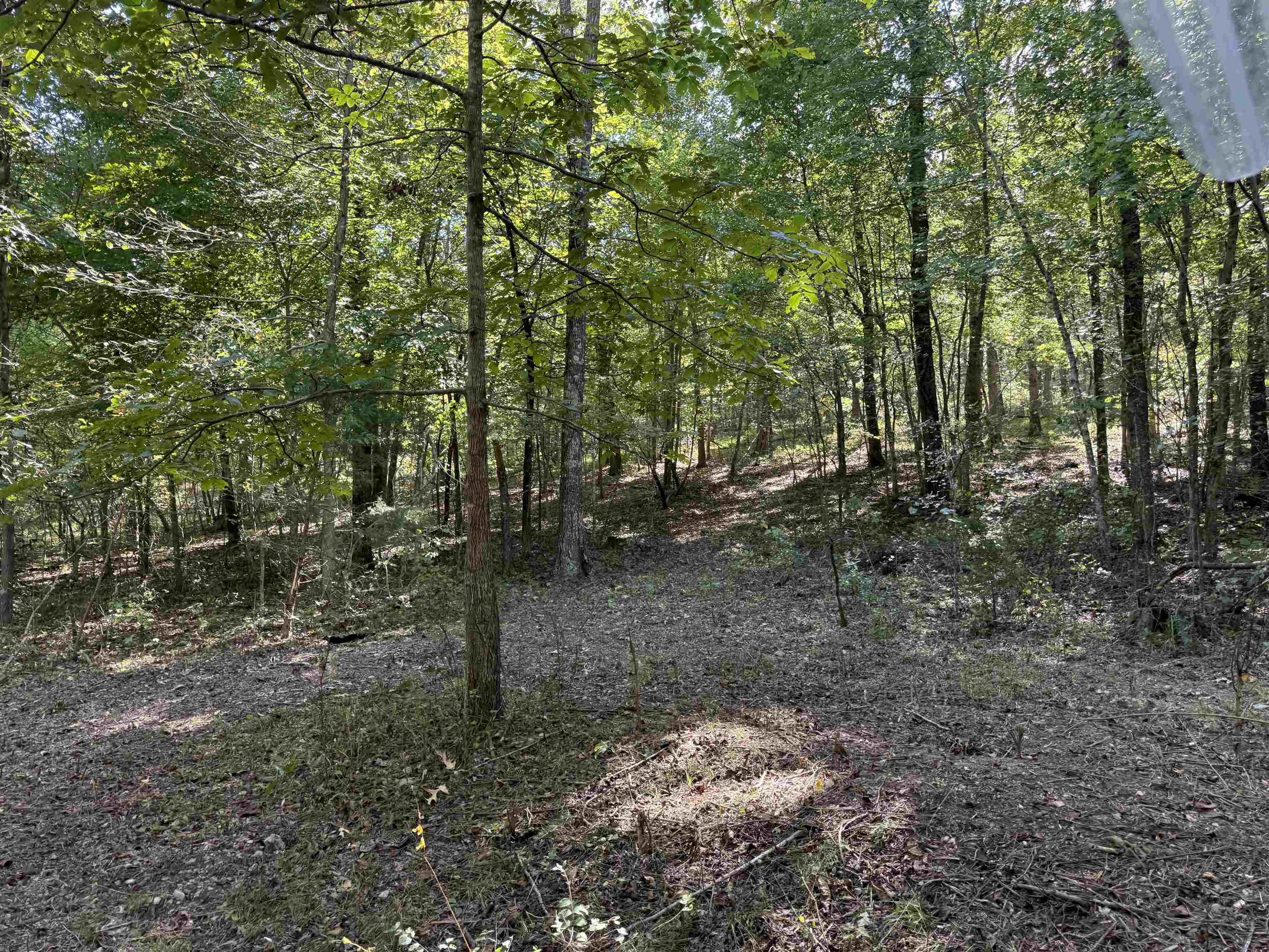 84A County Road 154  Mount Pleasant, AR