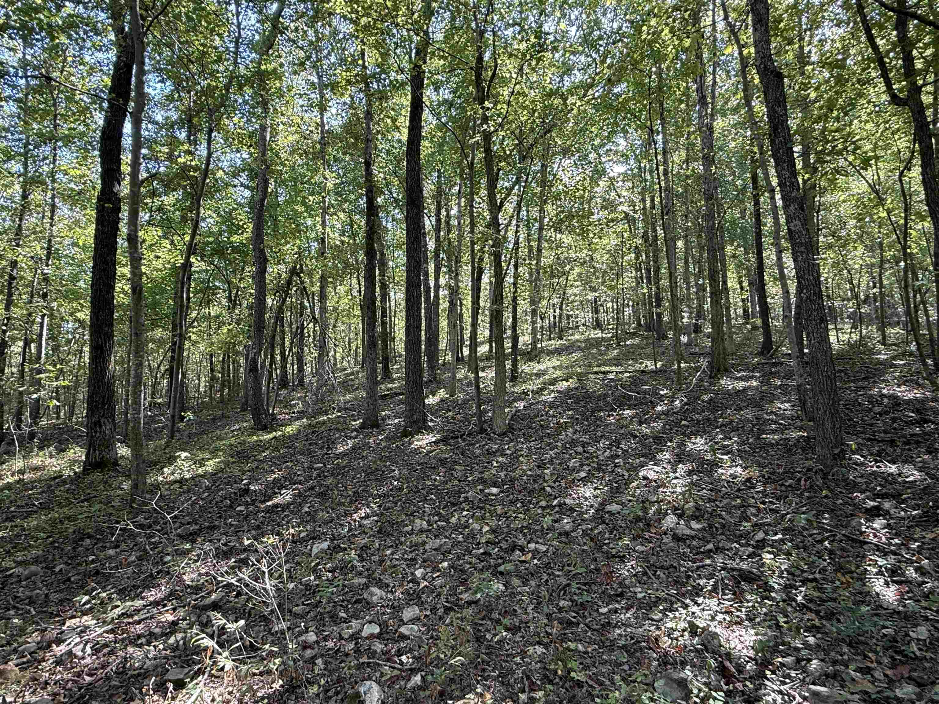 84A County Road 154  Mount Pleasant, AR