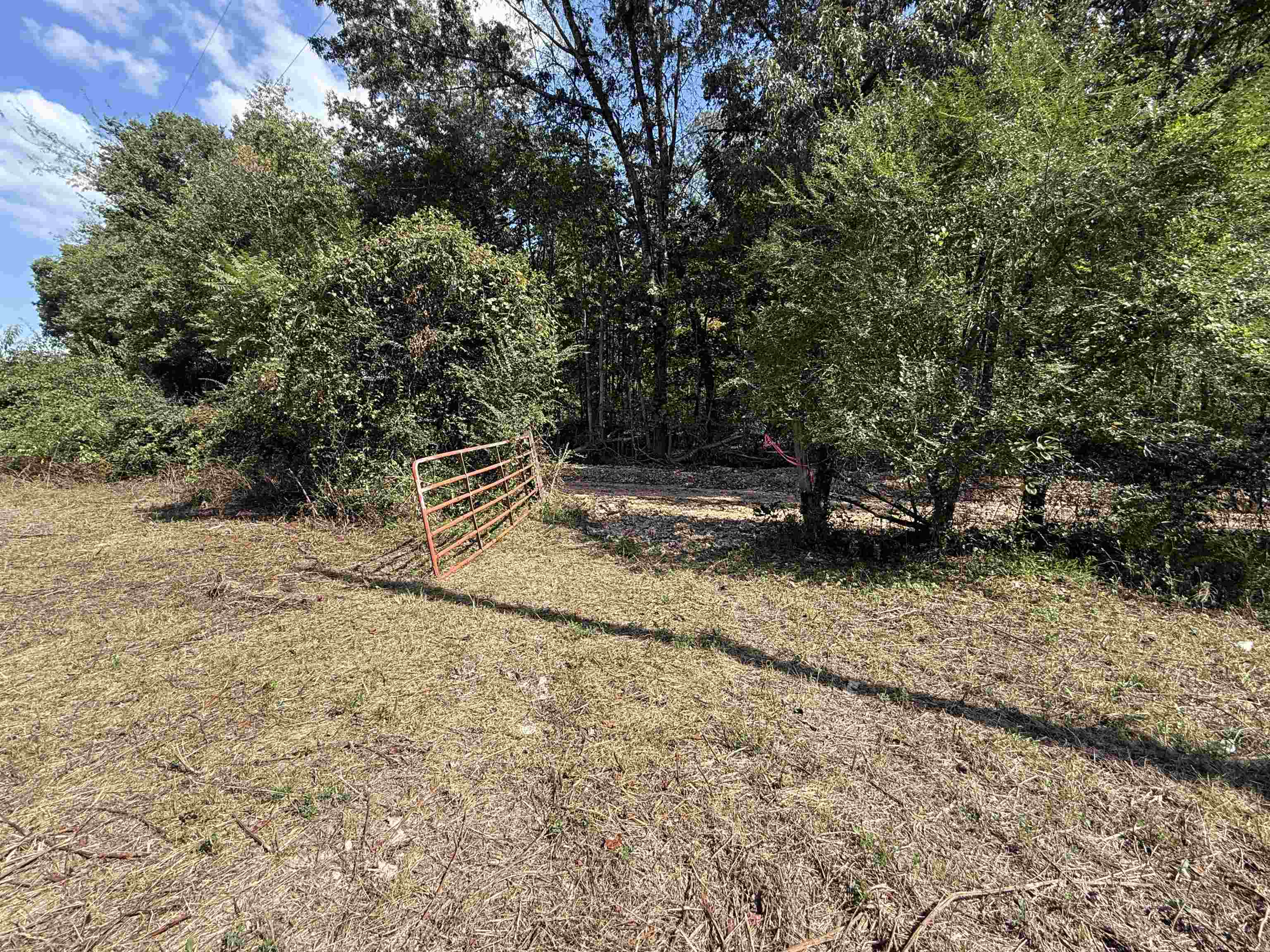 84A County Road 154  Mount Pleasant, AR