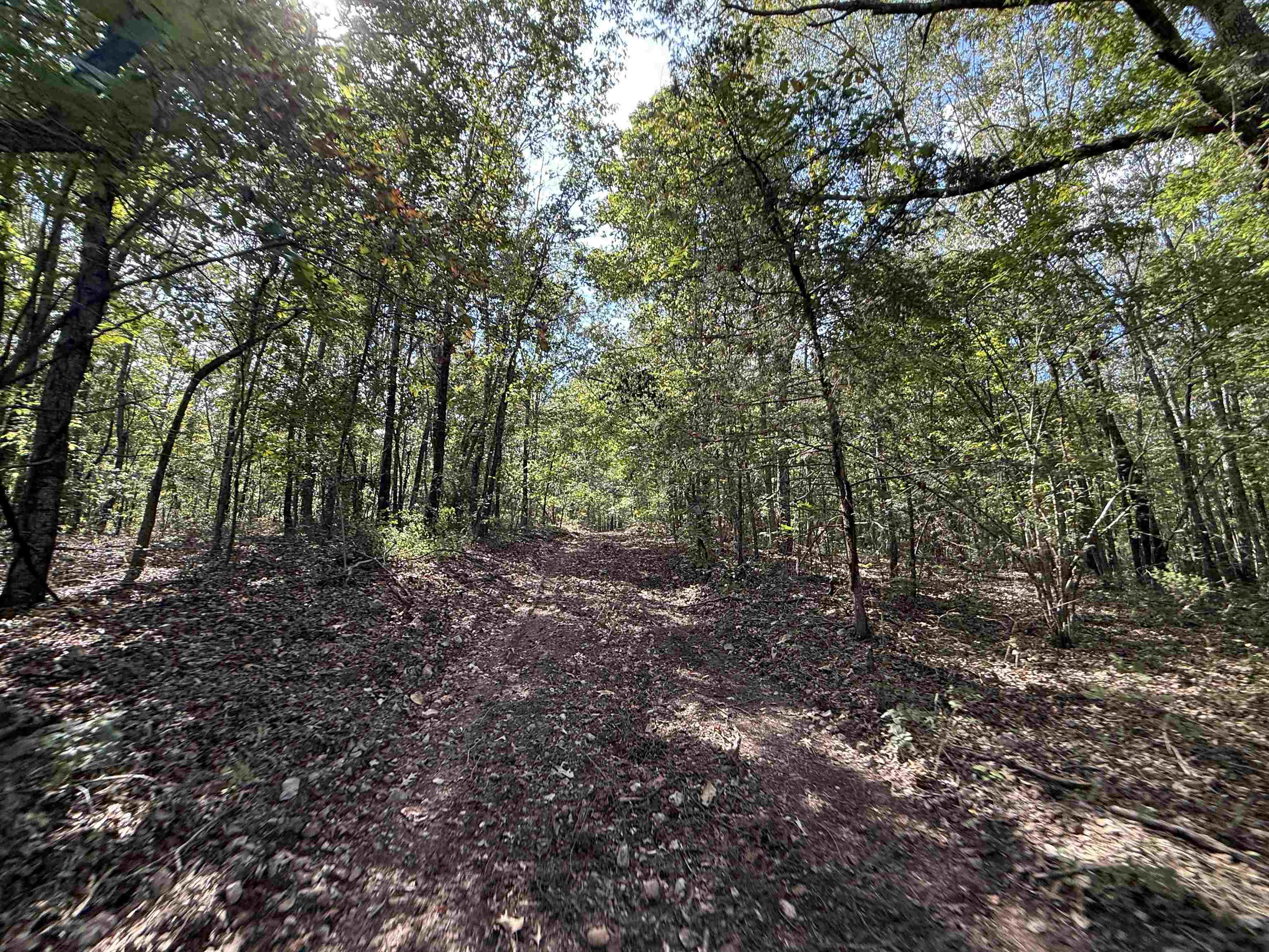 84A County Road 154  Mount Pleasant, AR