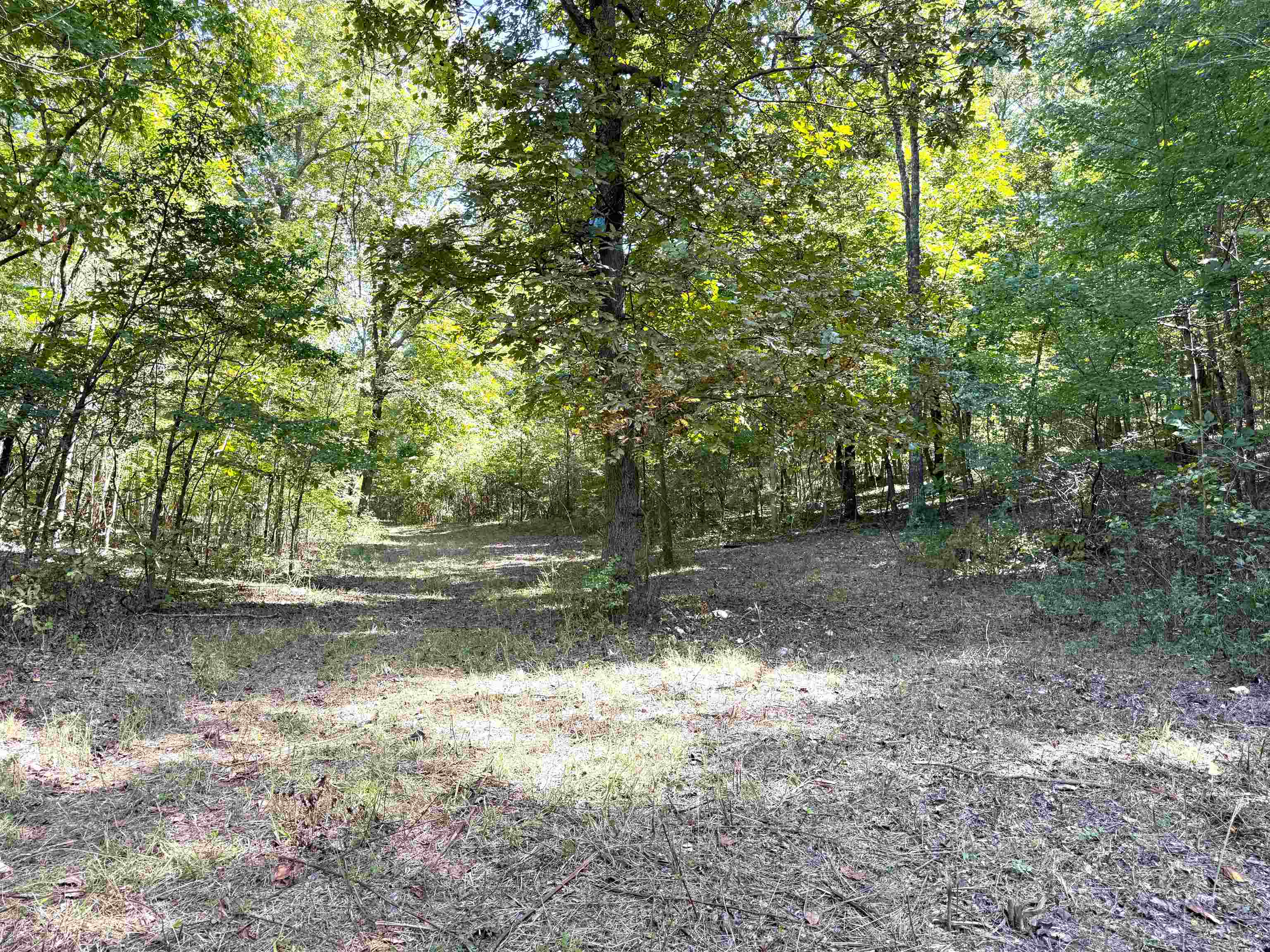 84A County Road 154  Mount Pleasant, AR