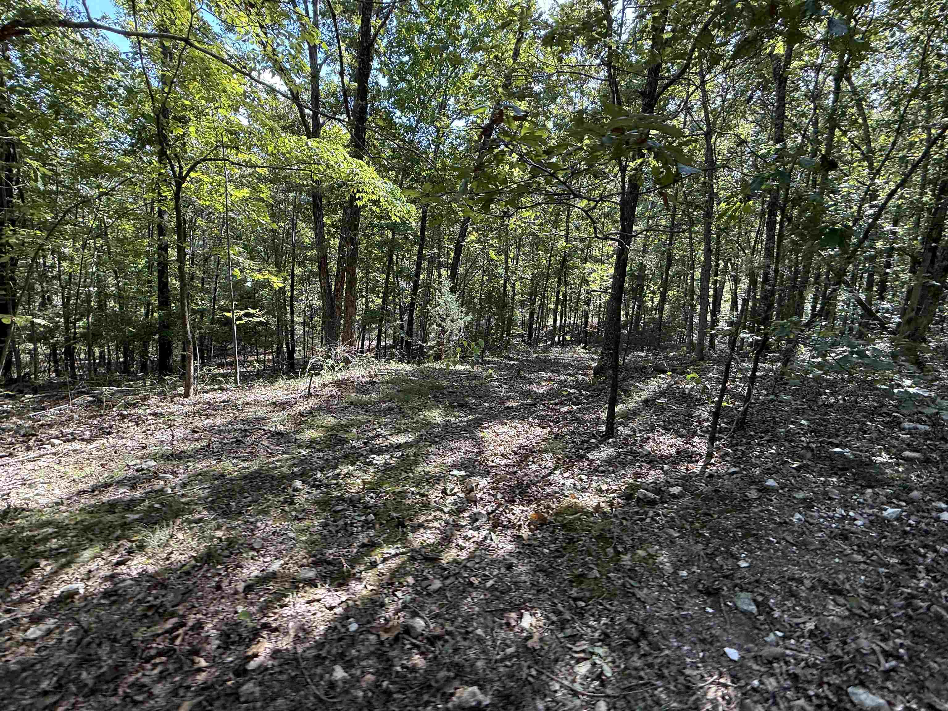 84A County Road 154  Mount Pleasant, AR