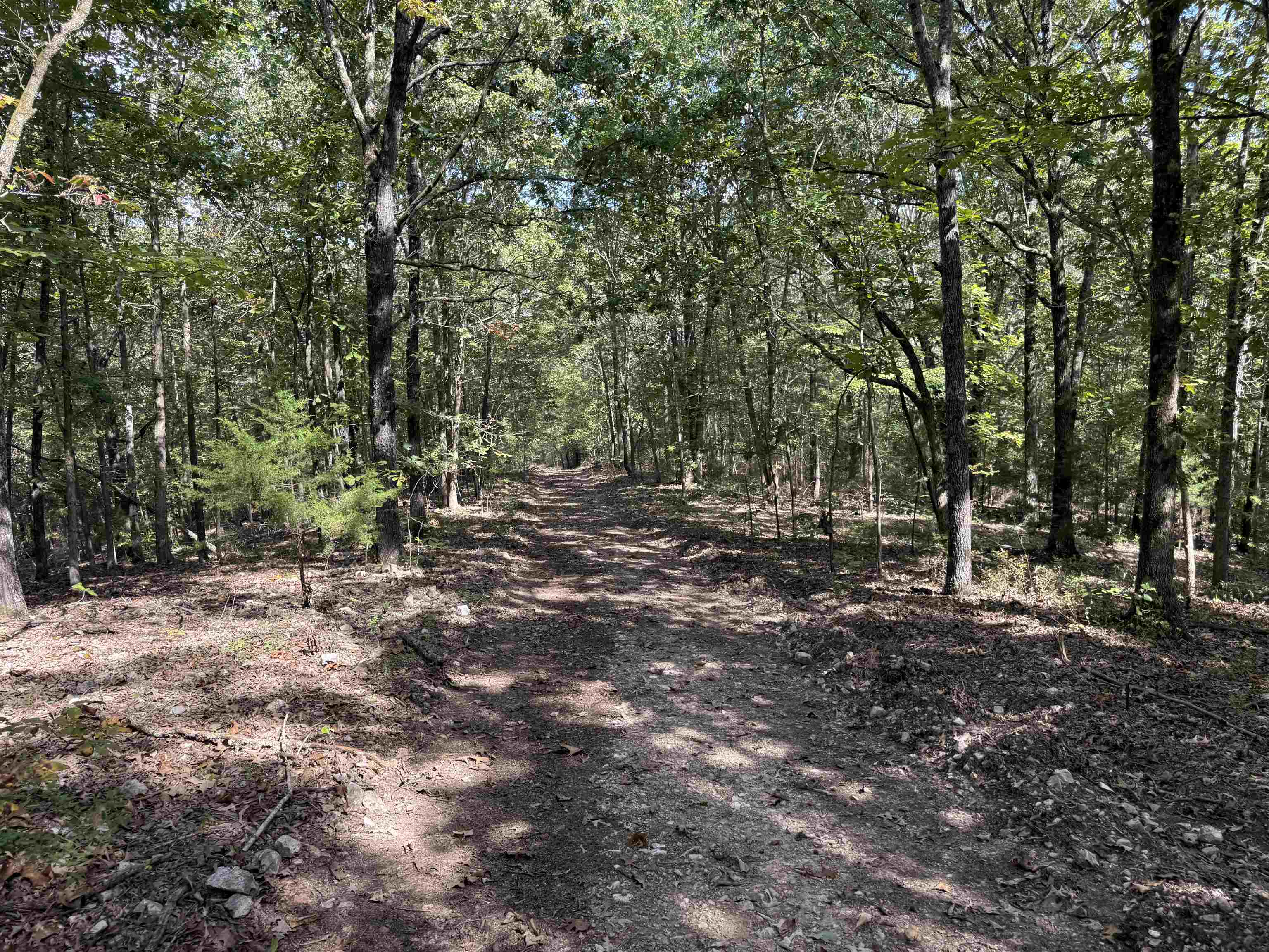84A County Road 154  Mount Pleasant, AR
