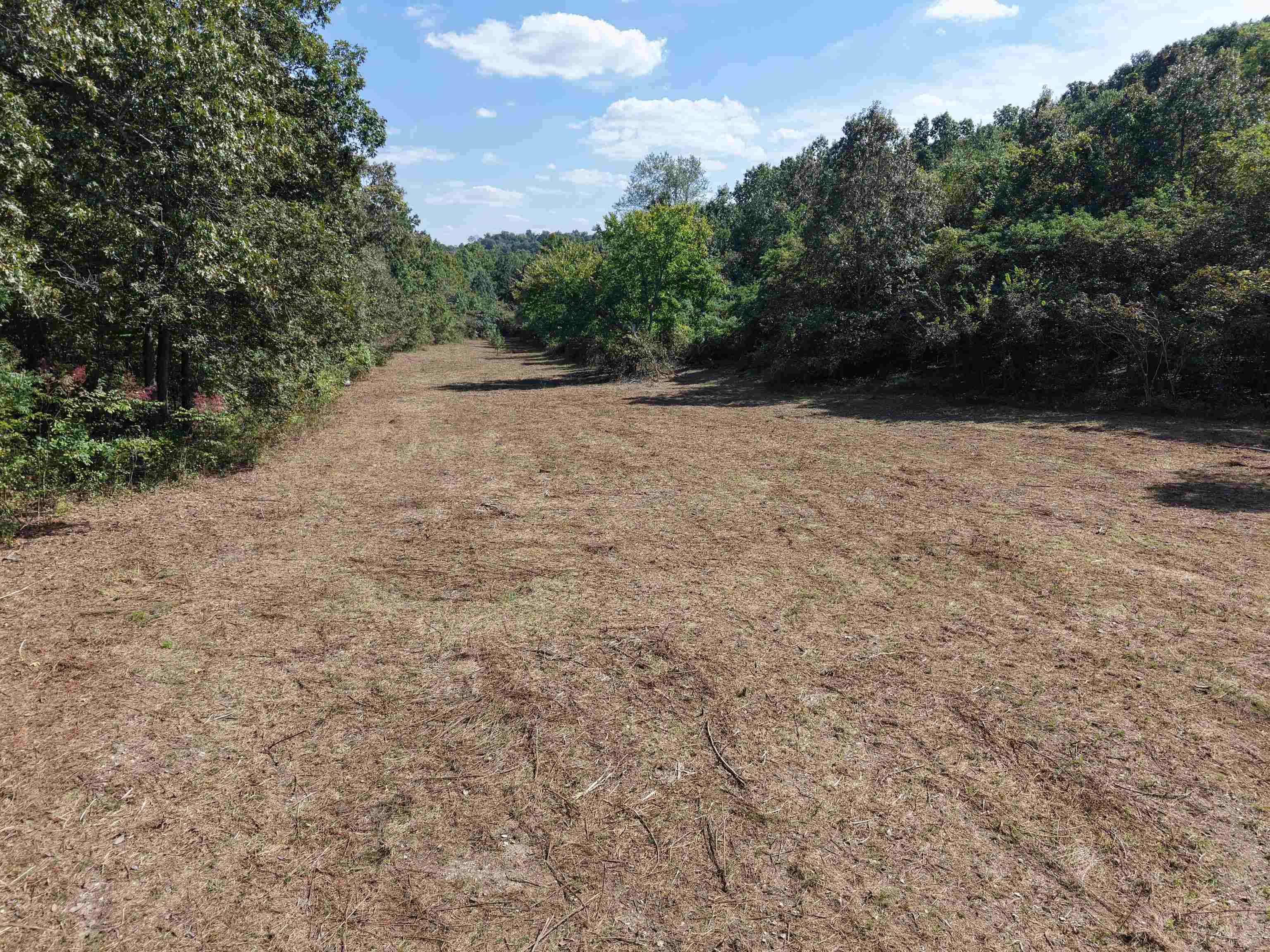 84A County Road 154  Mount Pleasant, AR