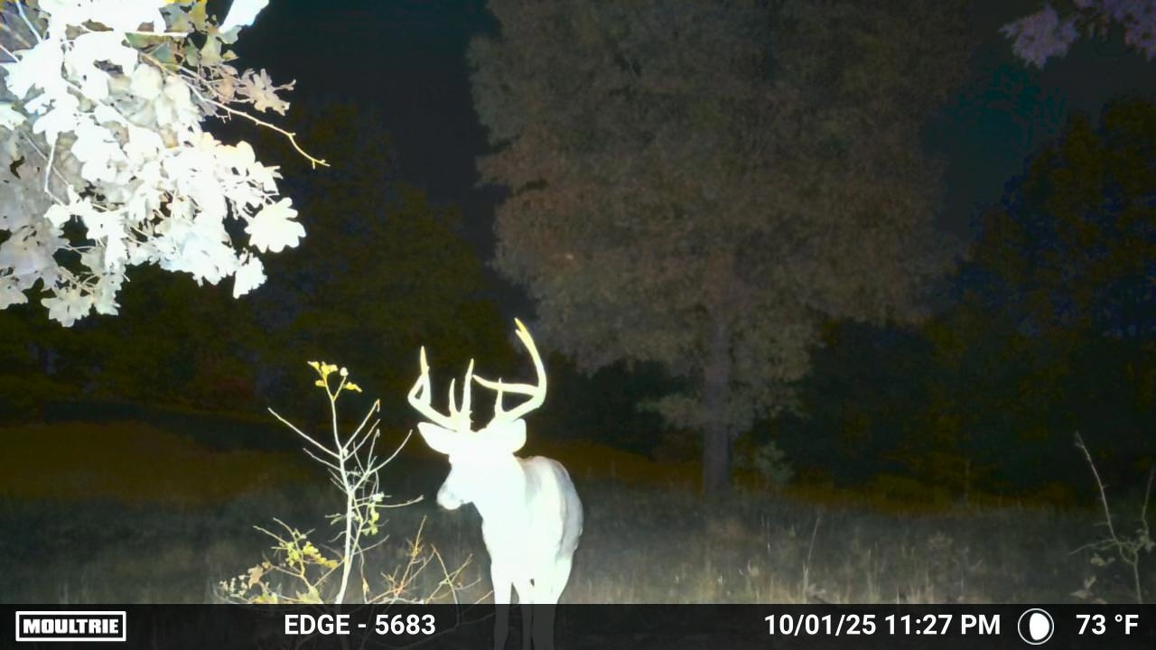 84A County Road 154  Mount Pleasant, AR