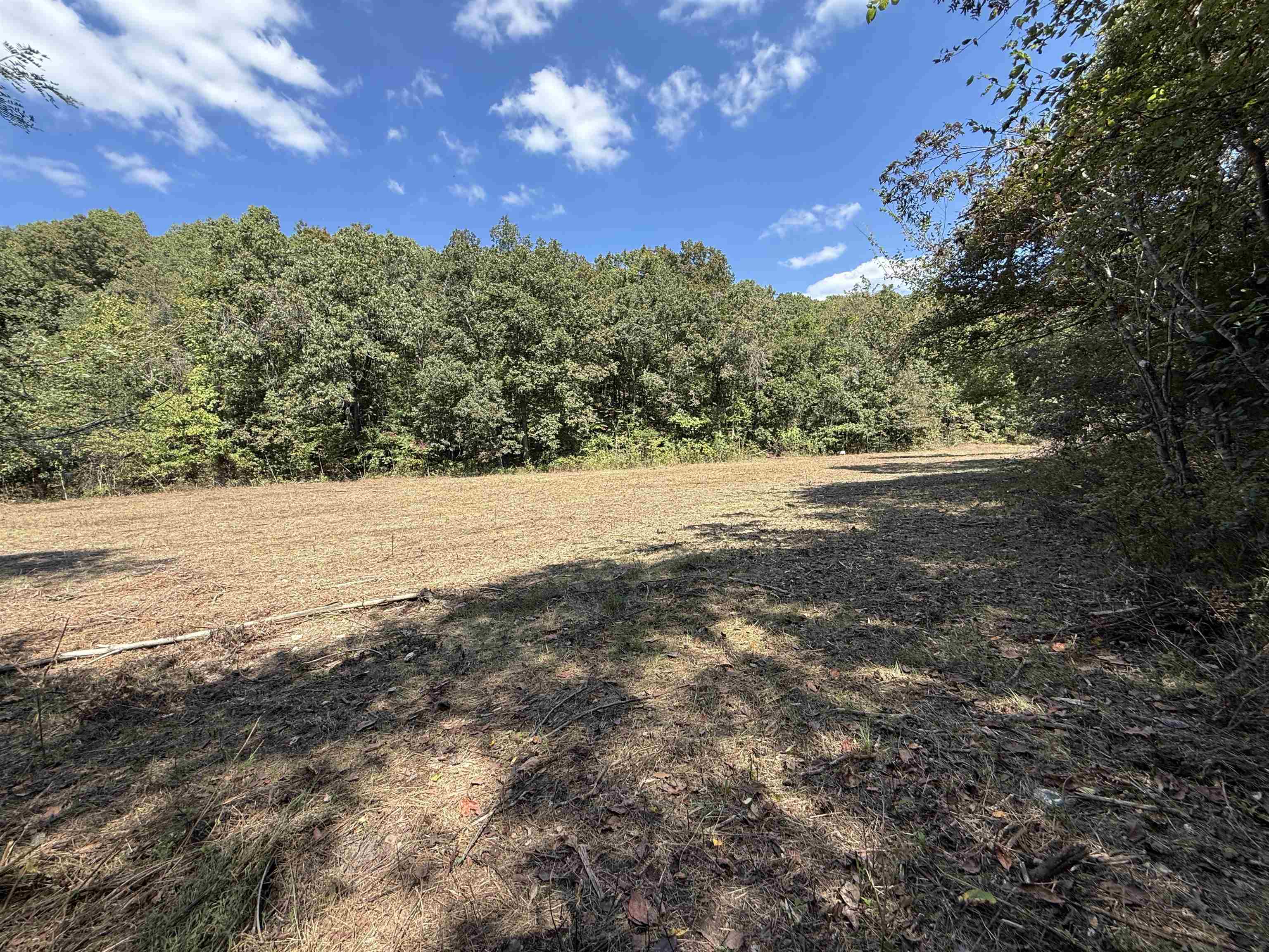 84A County Road 154  Mount Pleasant, AR