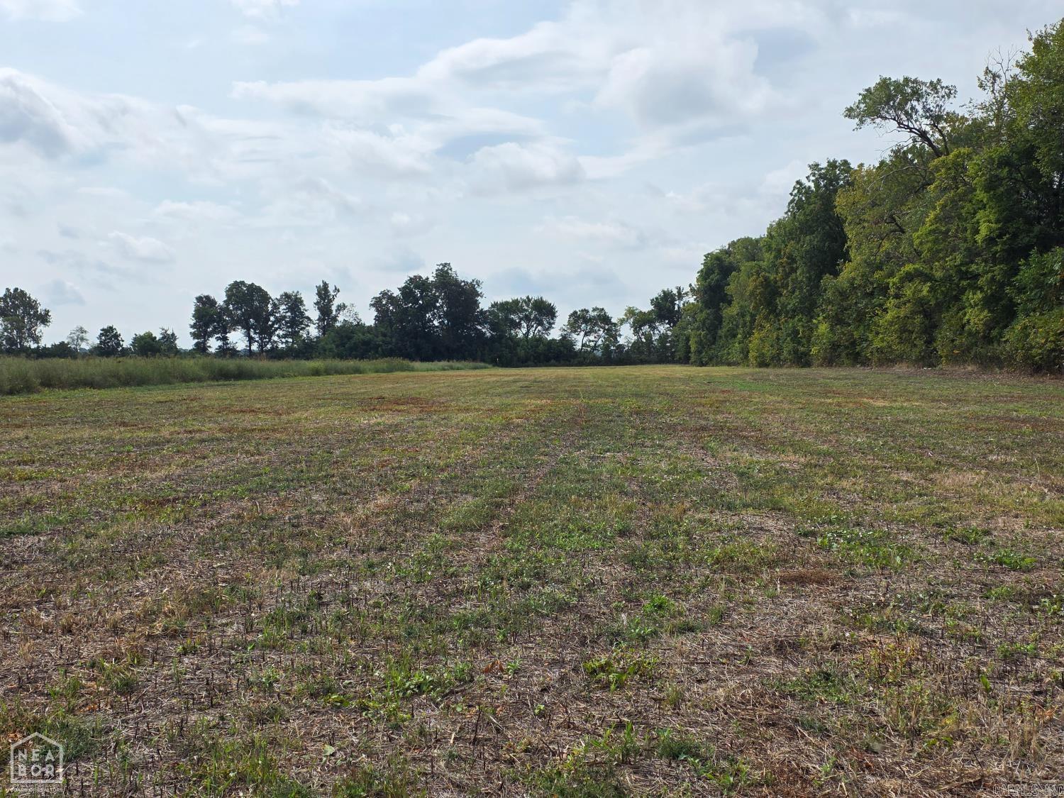 31216 south rd  Marked Tree, AR