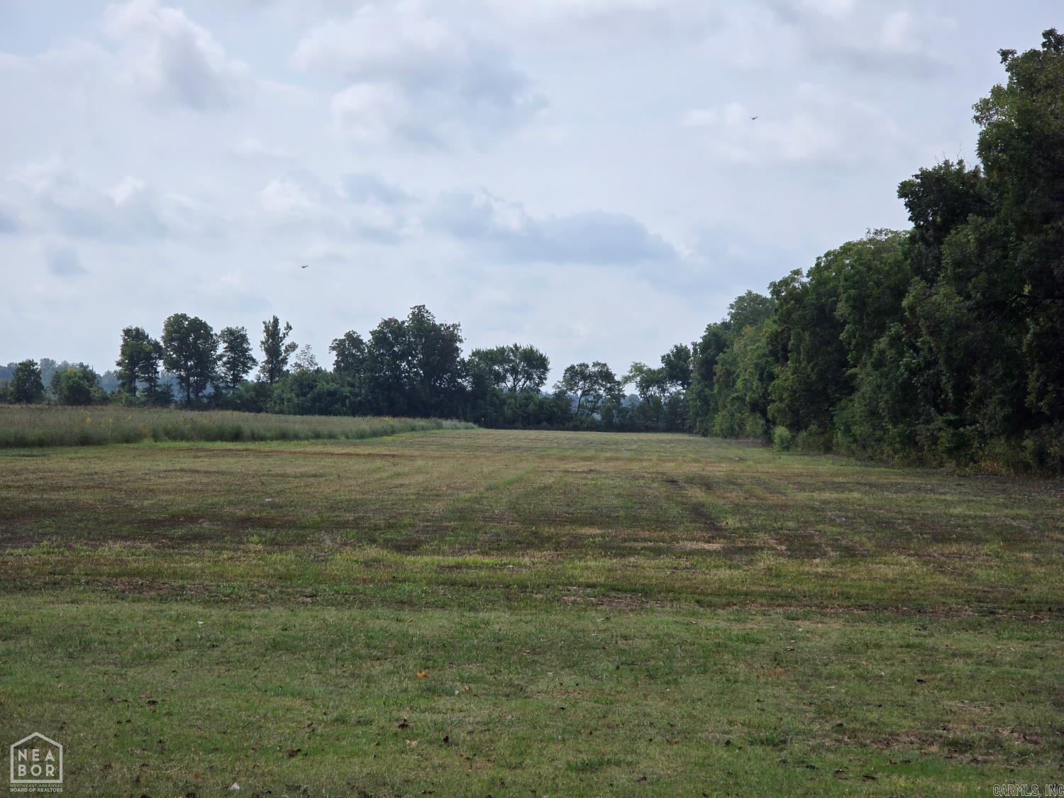 31216 south rd  Marked Tree, AR