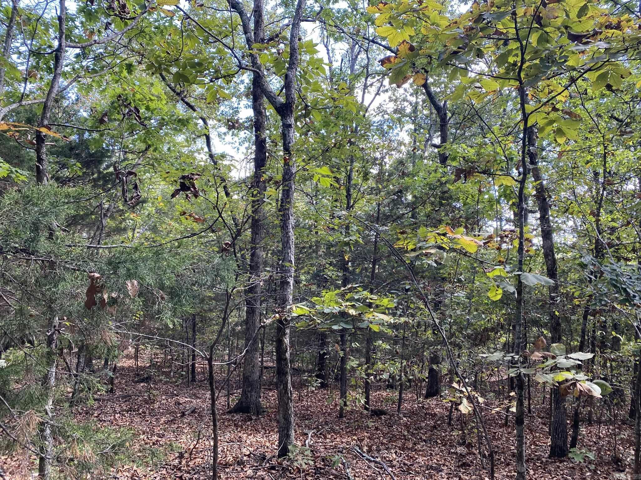 Lot 11 Cooper Point  Mountain View, AR