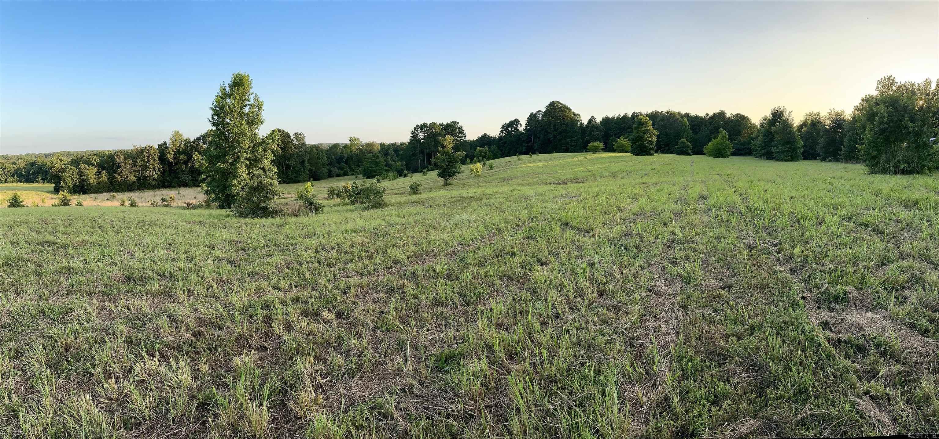 000 Bettis Spur  Quitman, AR