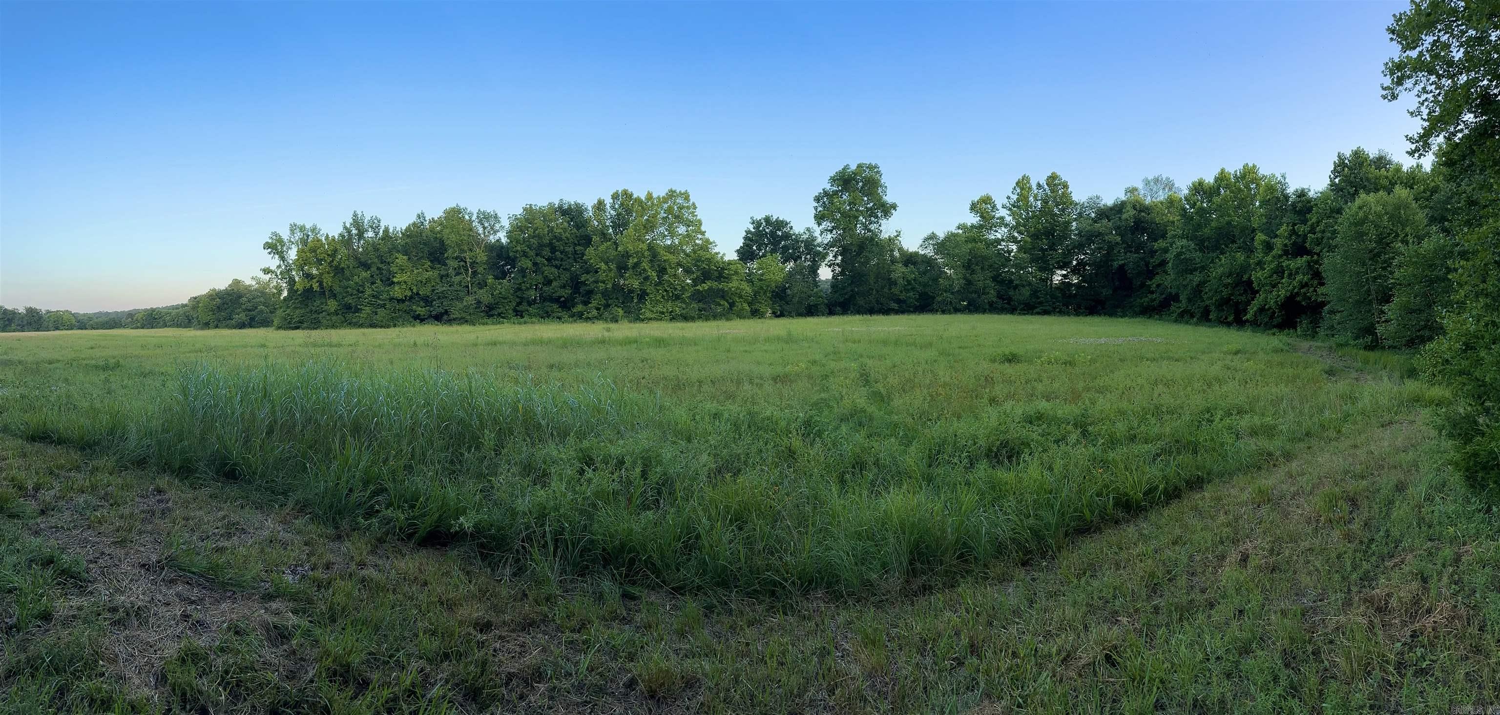 000 Bettis Spur  Quitman, AR