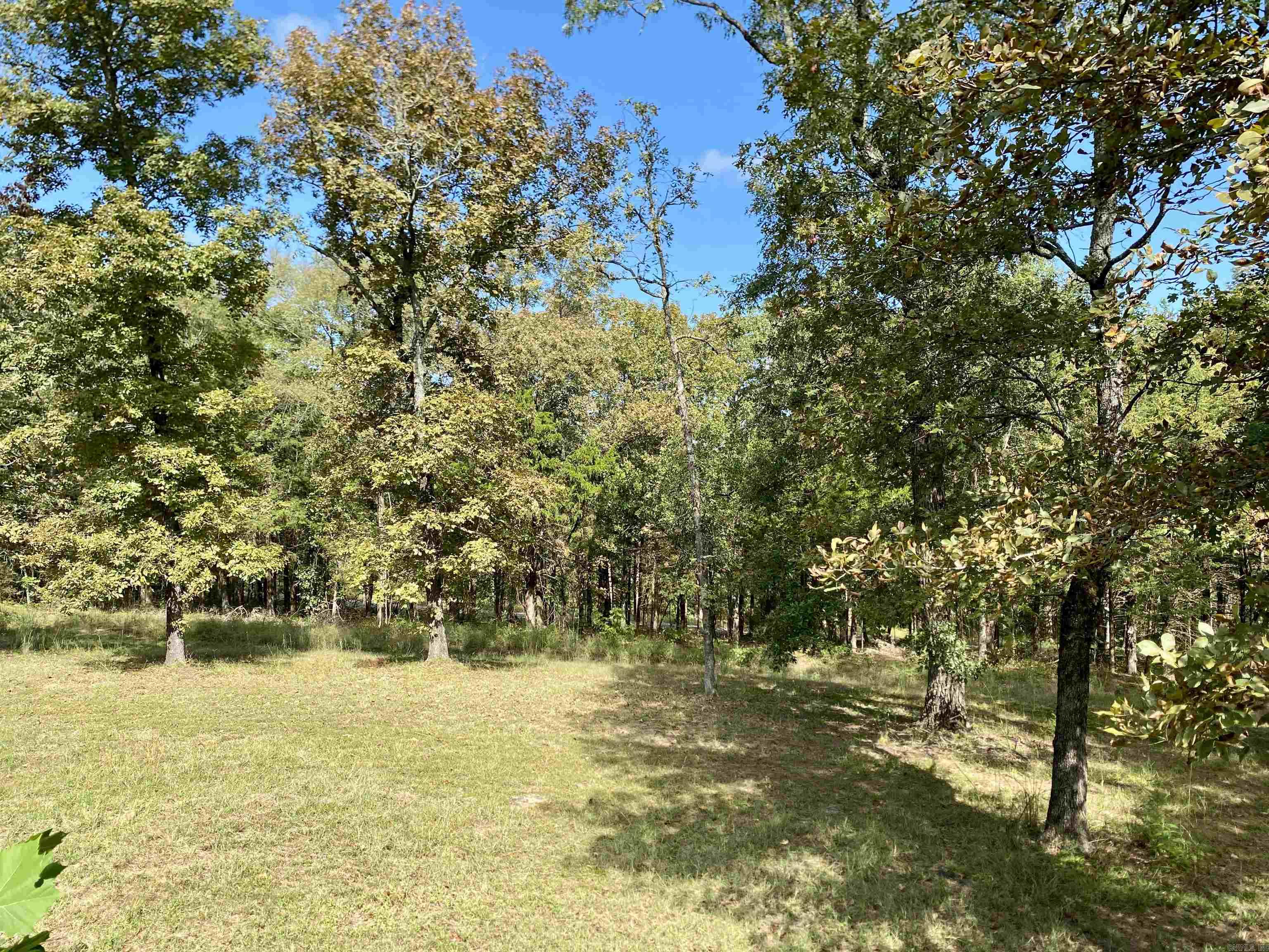 521 W Dublin Bay Road  Scranton, AR