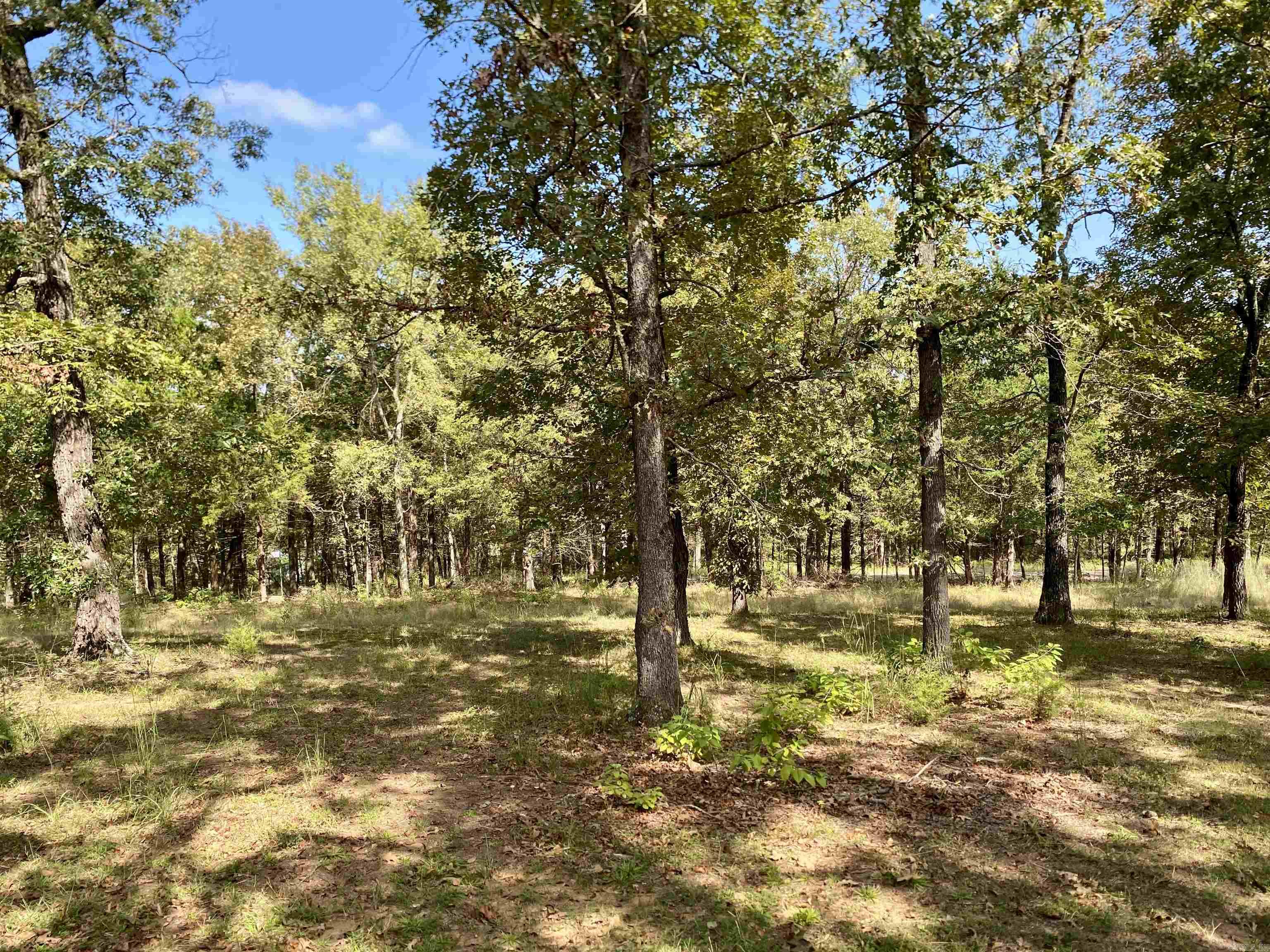 521 W Dublin Bay Road  Scranton, AR