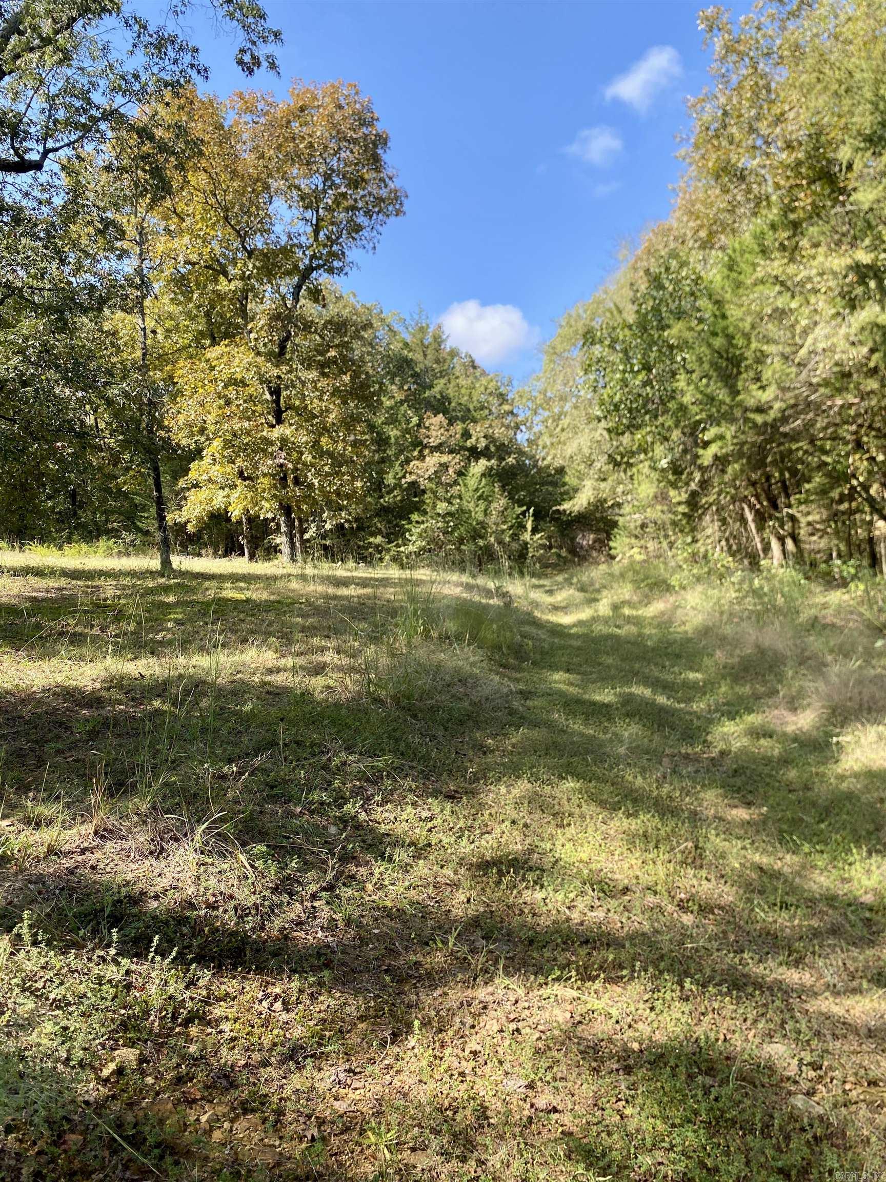 521 W Dublin Bay Road  Scranton, AR