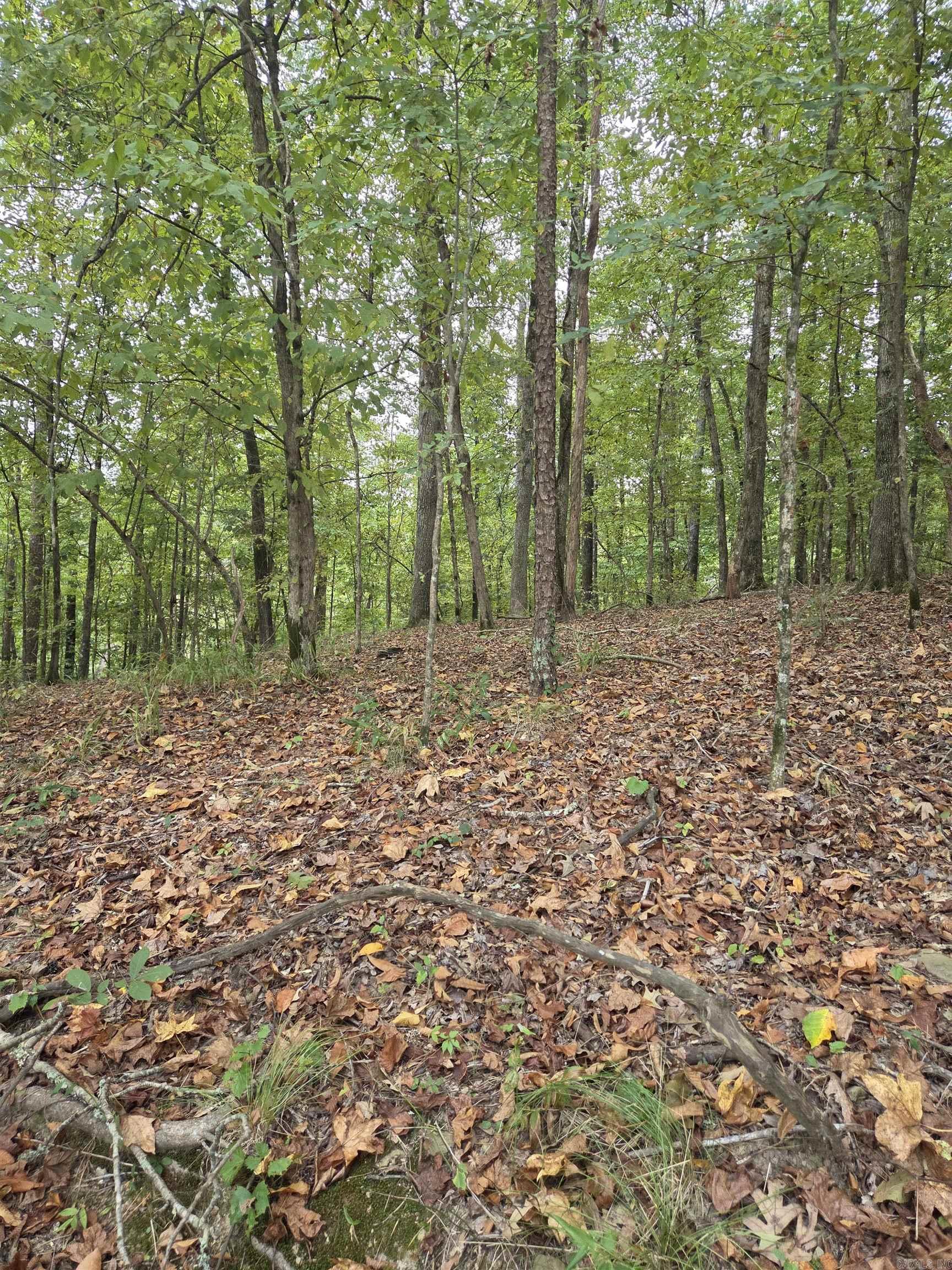 21 Springbrook  Hot Springs, AR