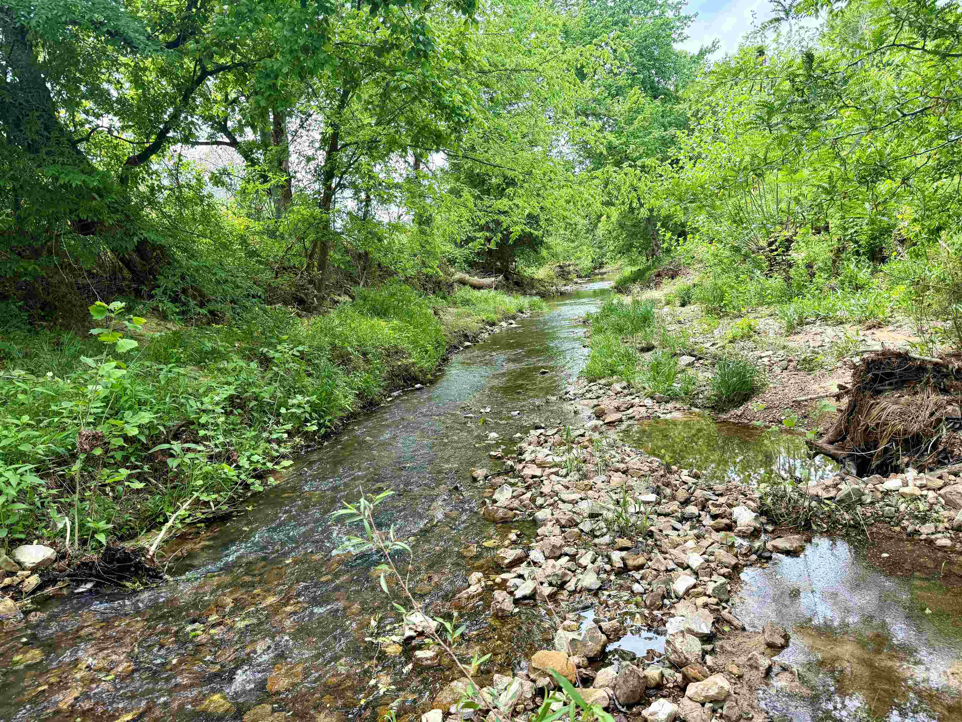 2157 Pleasant Grove Road  Calico Rock, AR