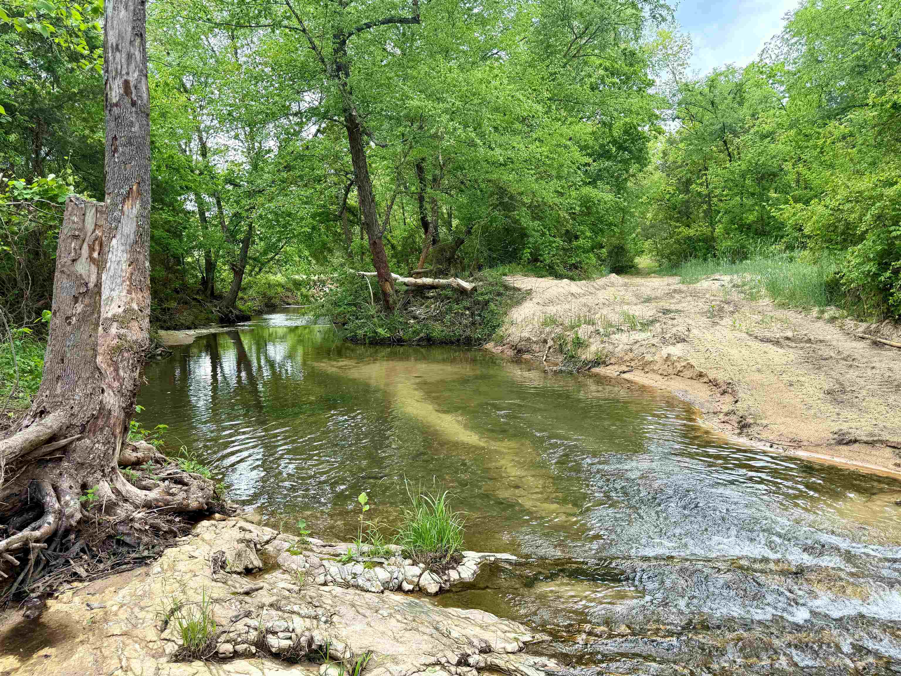 2157 Pleasant Grove Road  Calico Rock, AR