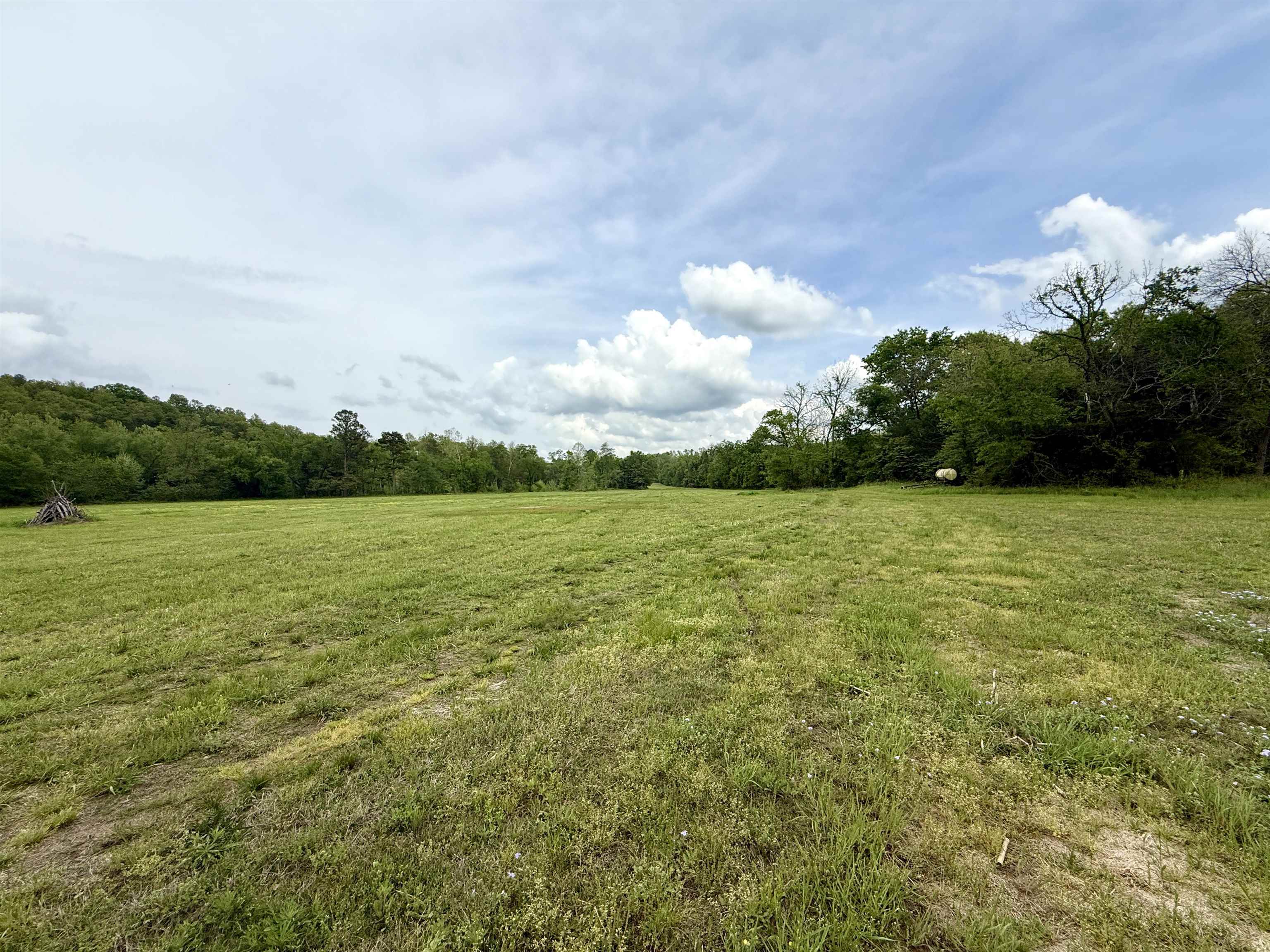 2157 Pleasant Grove Road  Calico Rock, AR