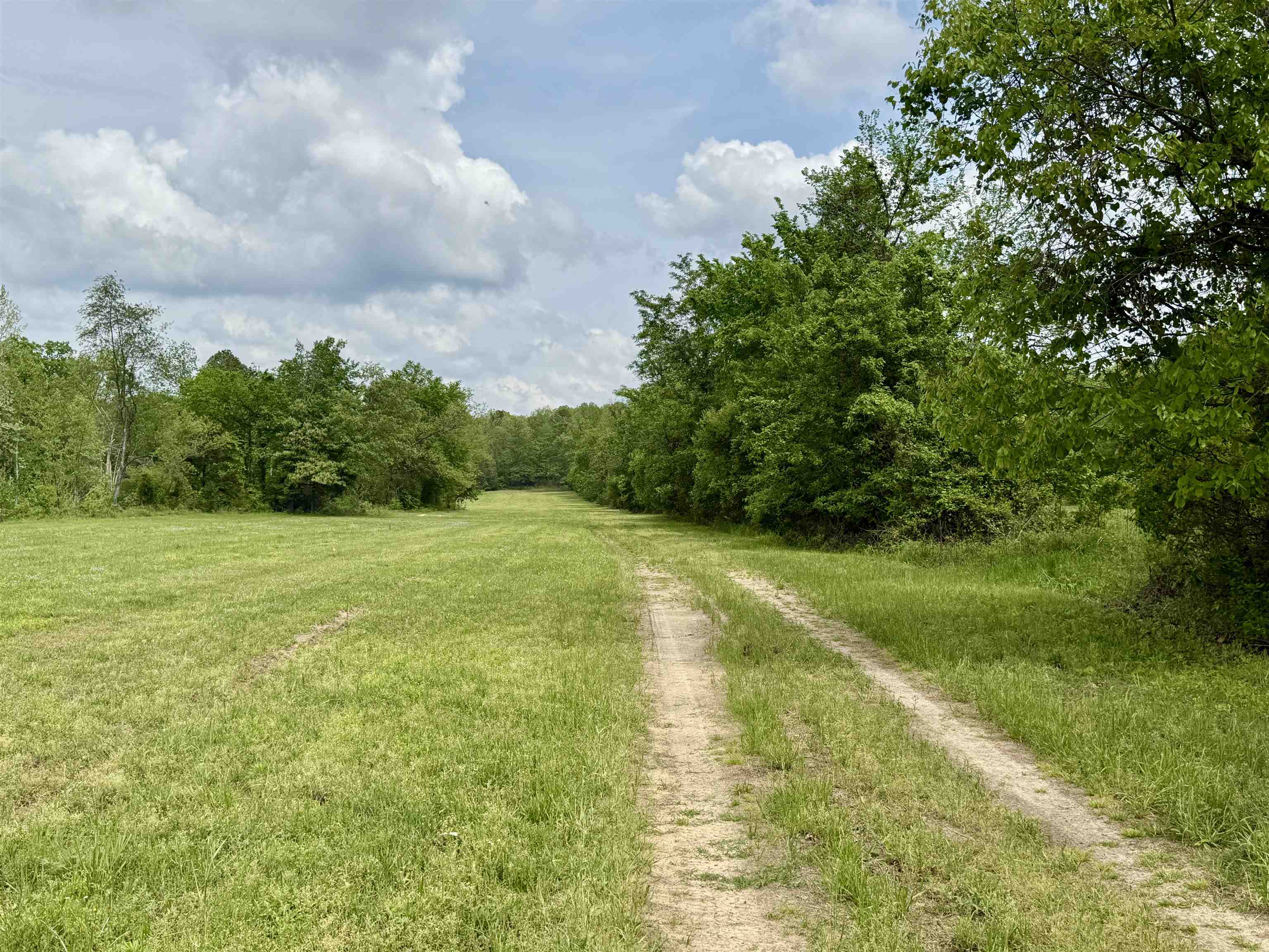 2157 Pleasant Grove Road  Calico Rock, AR
