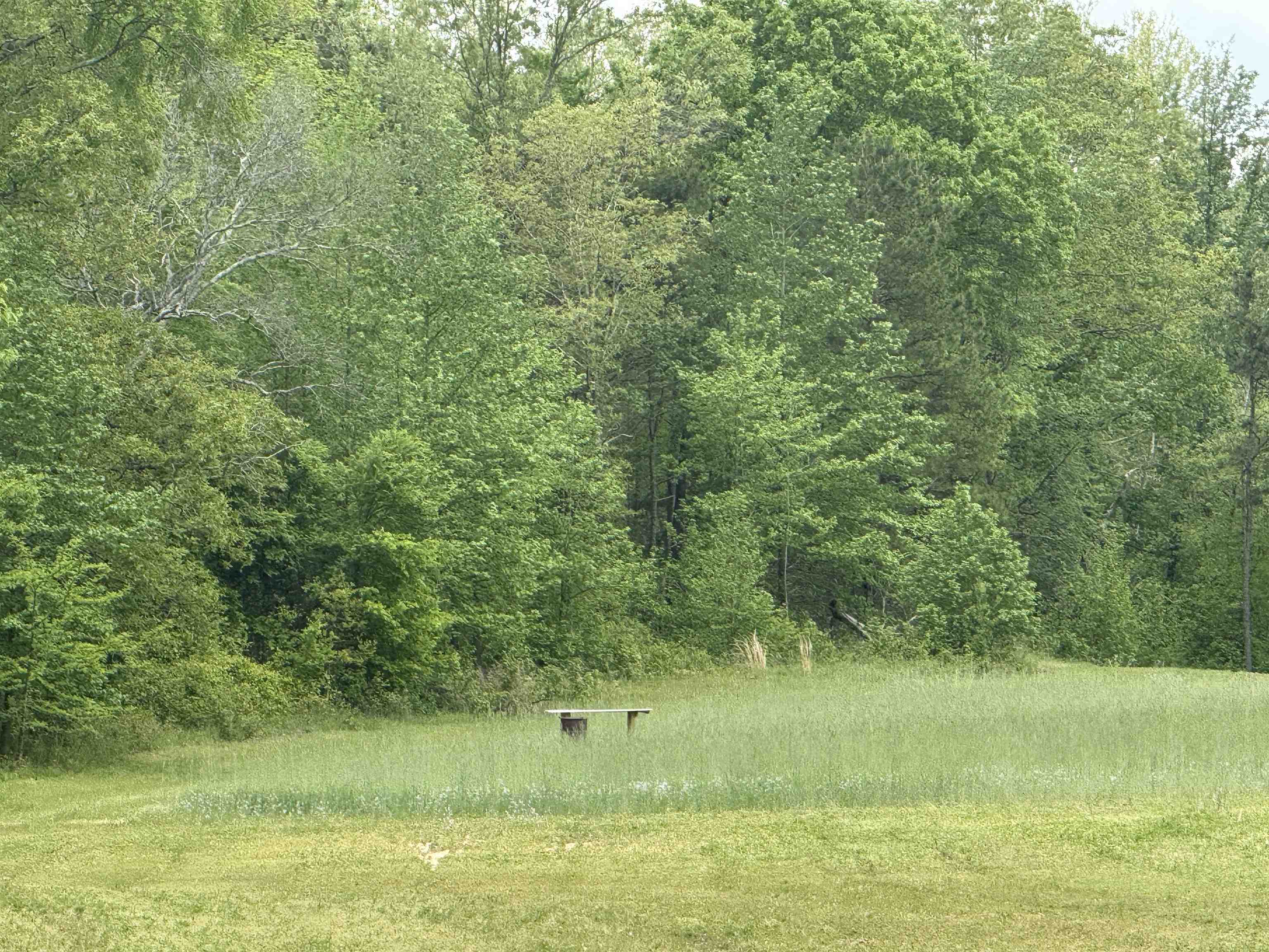 2157 Pleasant Grove Road  Calico Rock, AR