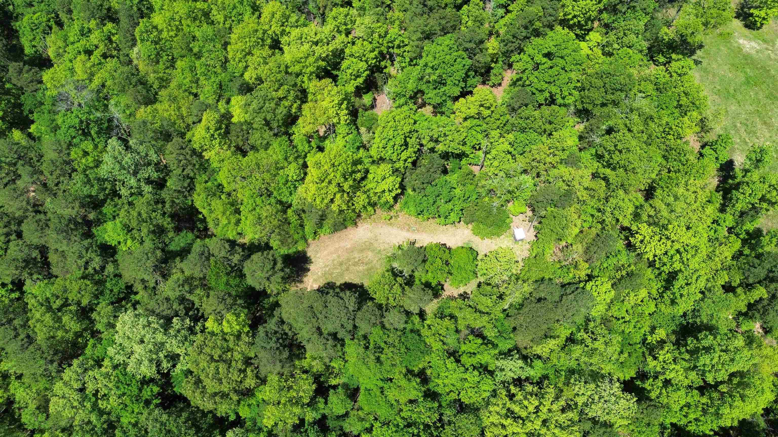 2157 Pleasant Grove Road  Calico Rock, AR