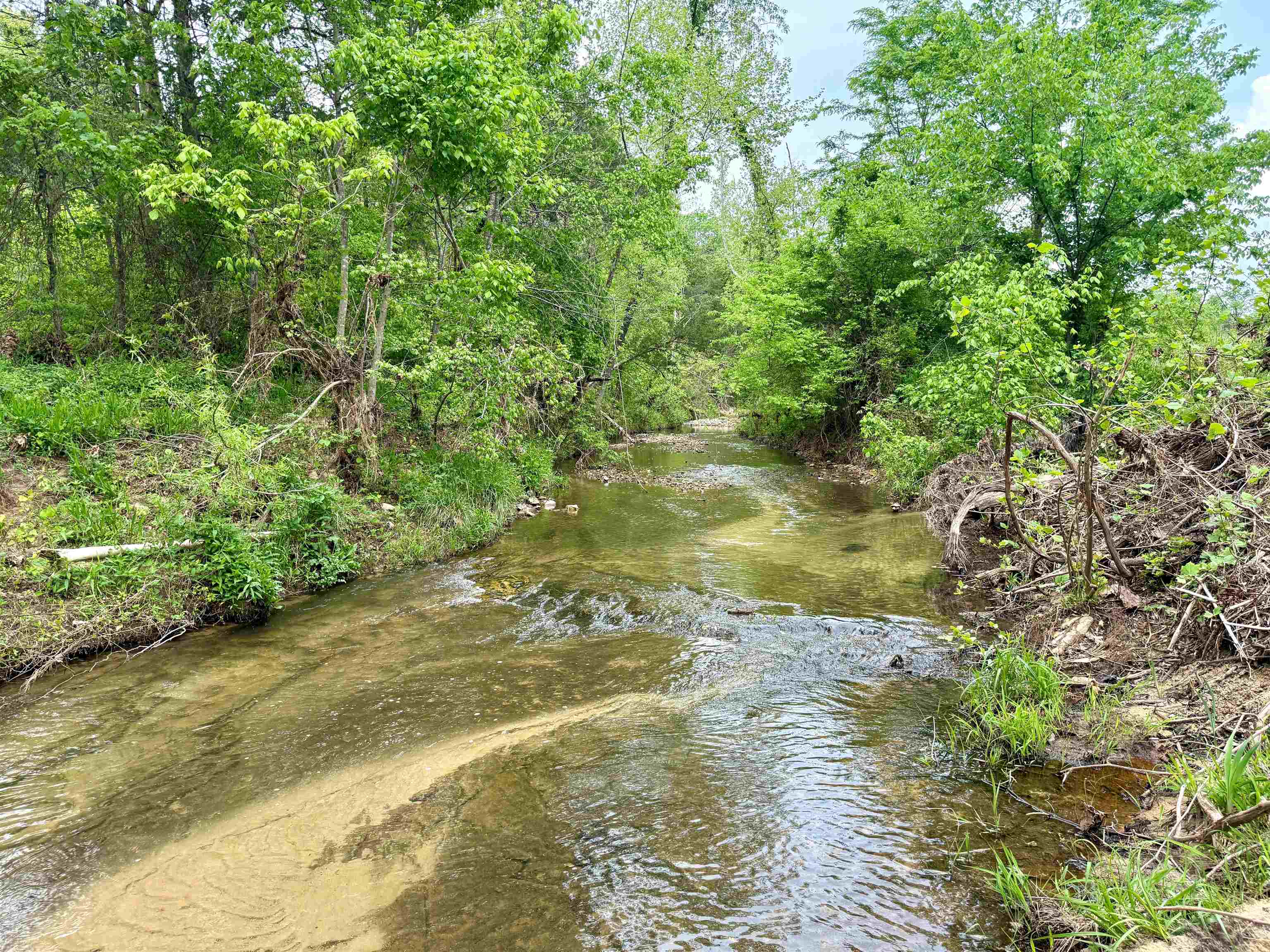 2157 Pleasant Grove Road  Calico Rock, AR