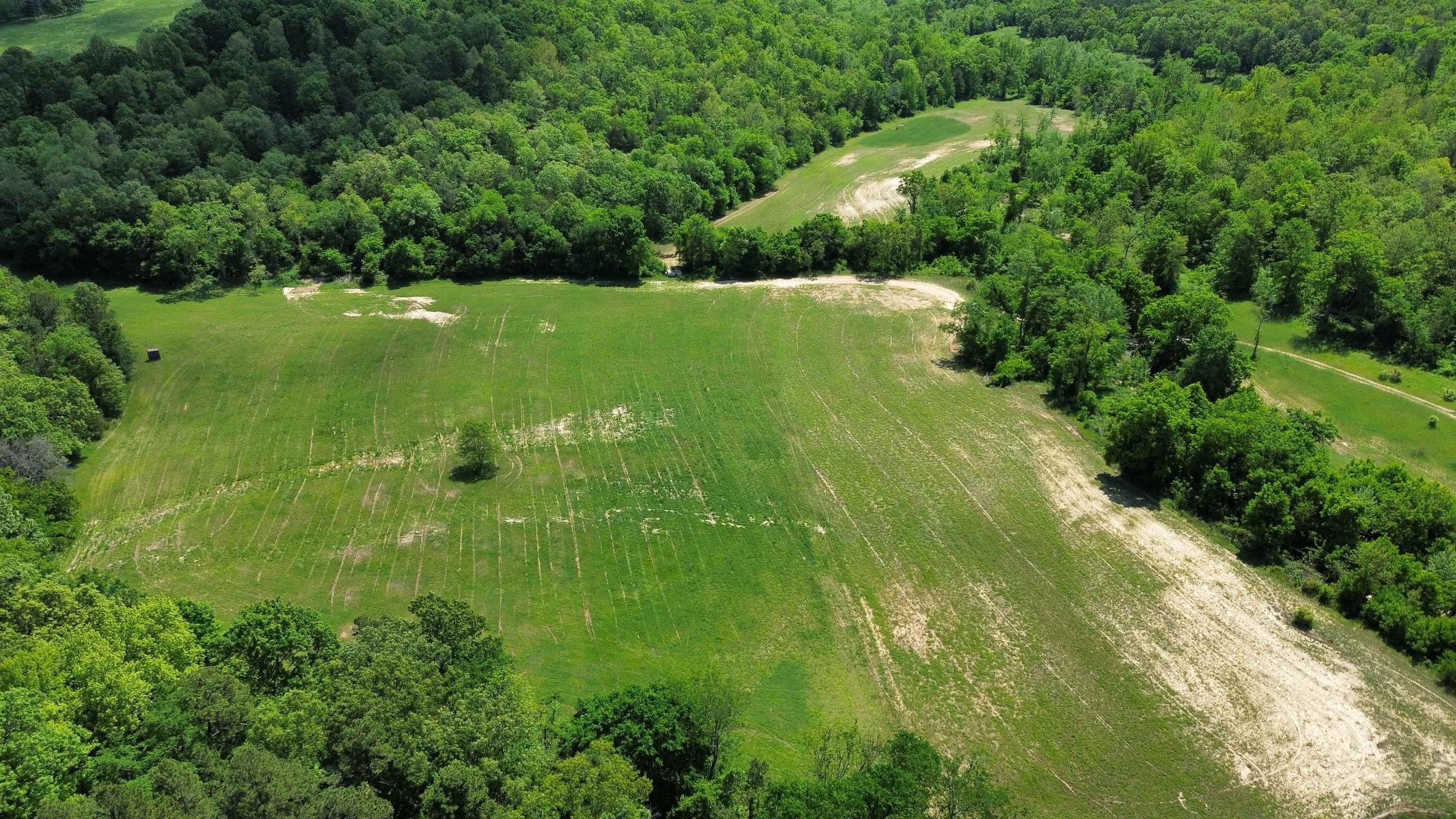 2157 Pleasant Grove Road  Calico Rock, AR