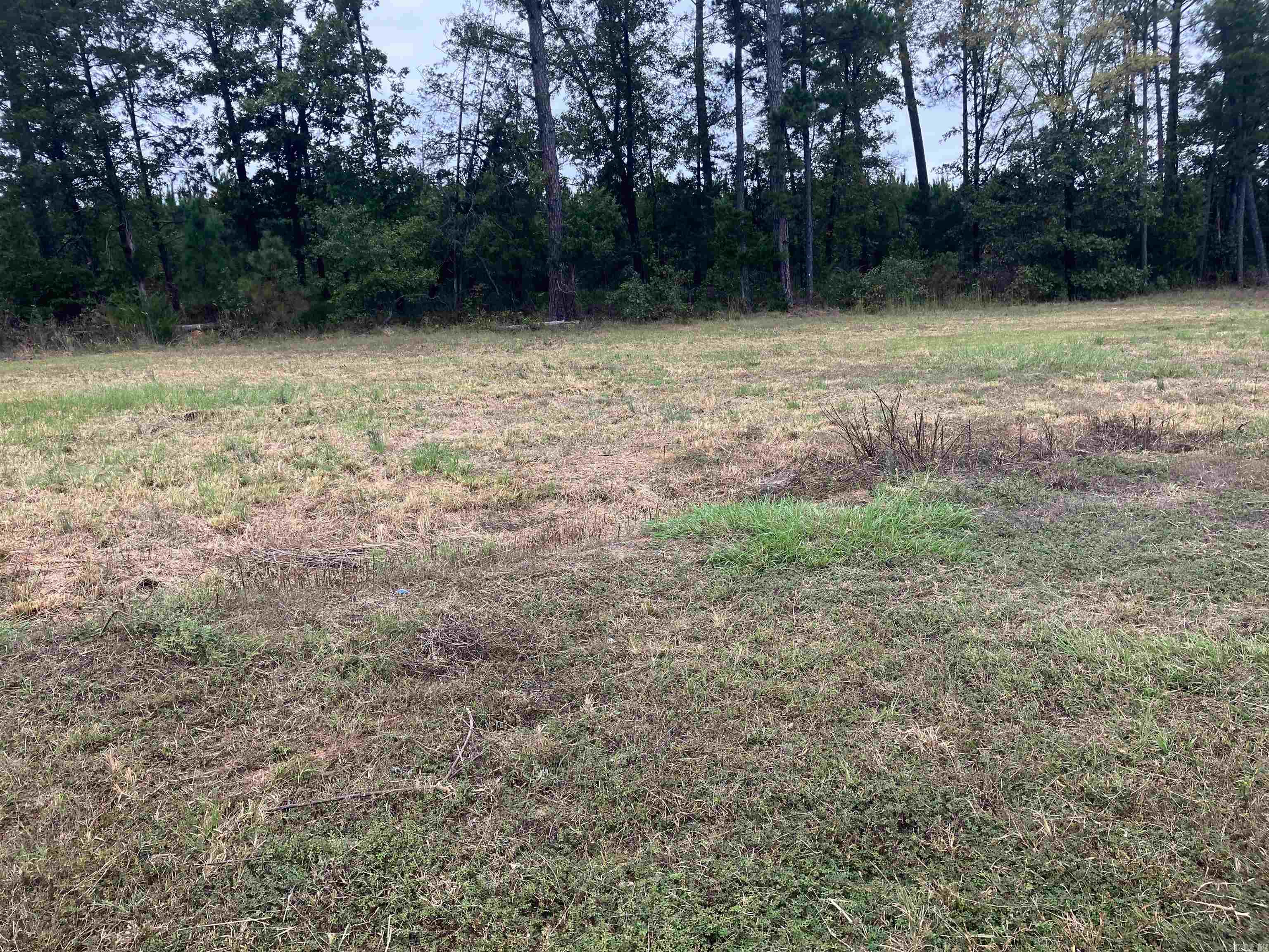 141 Private Road 3533  Clarksville, AR