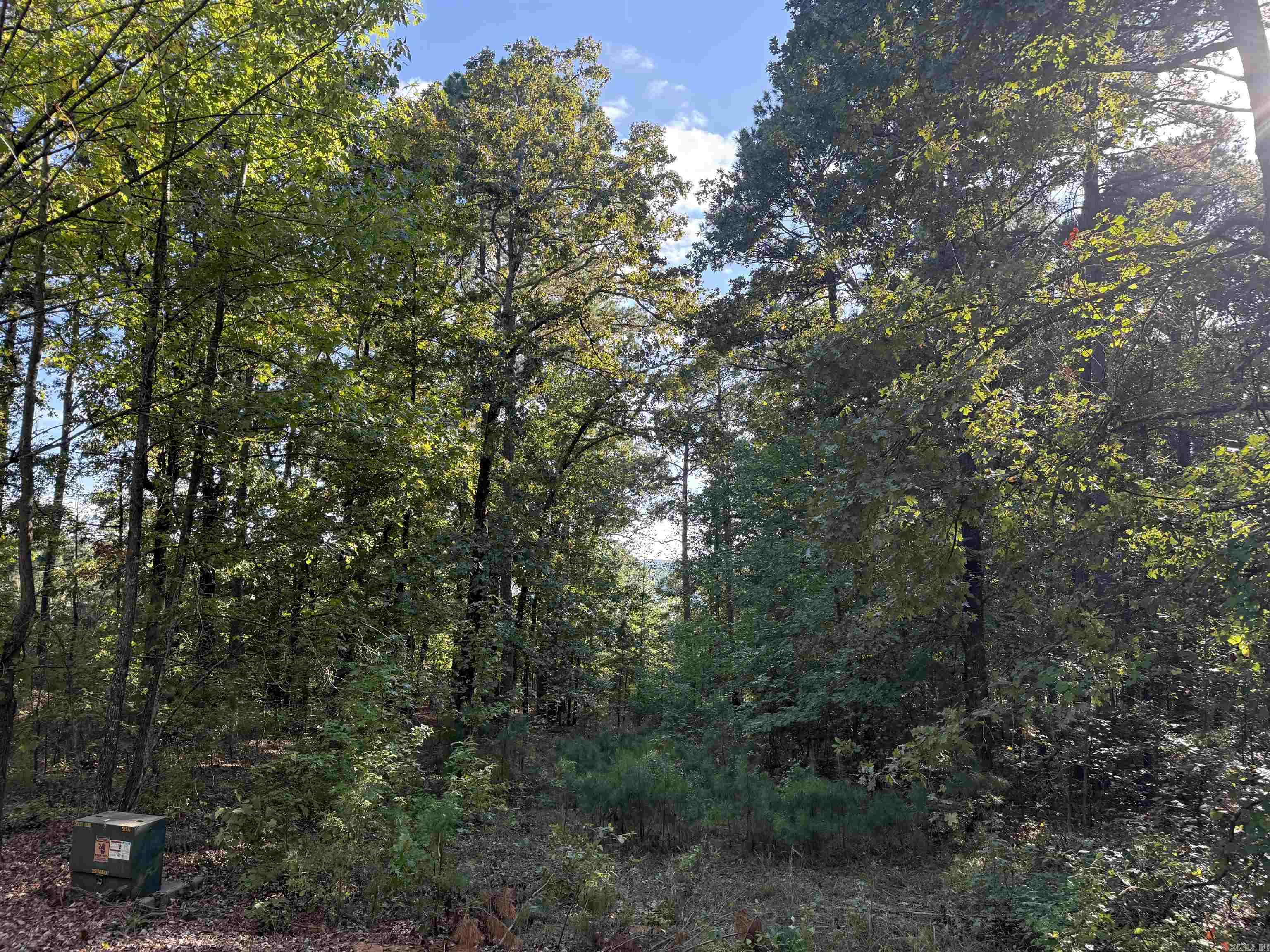 Lot 4 Island Shores Drive Drasco, AR 72530