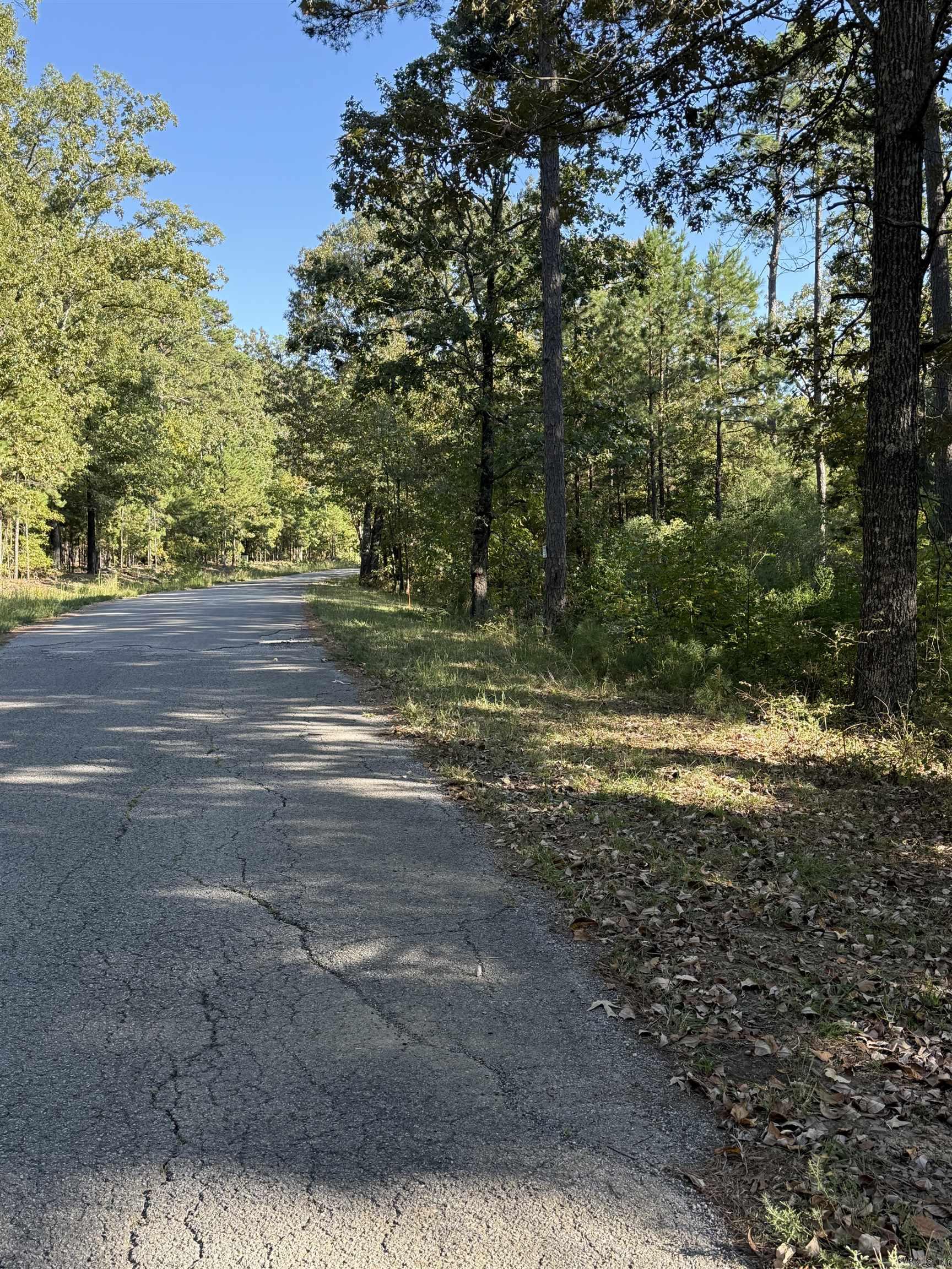 Lot 4 Island Shores Drive Drasco, AR 72530
