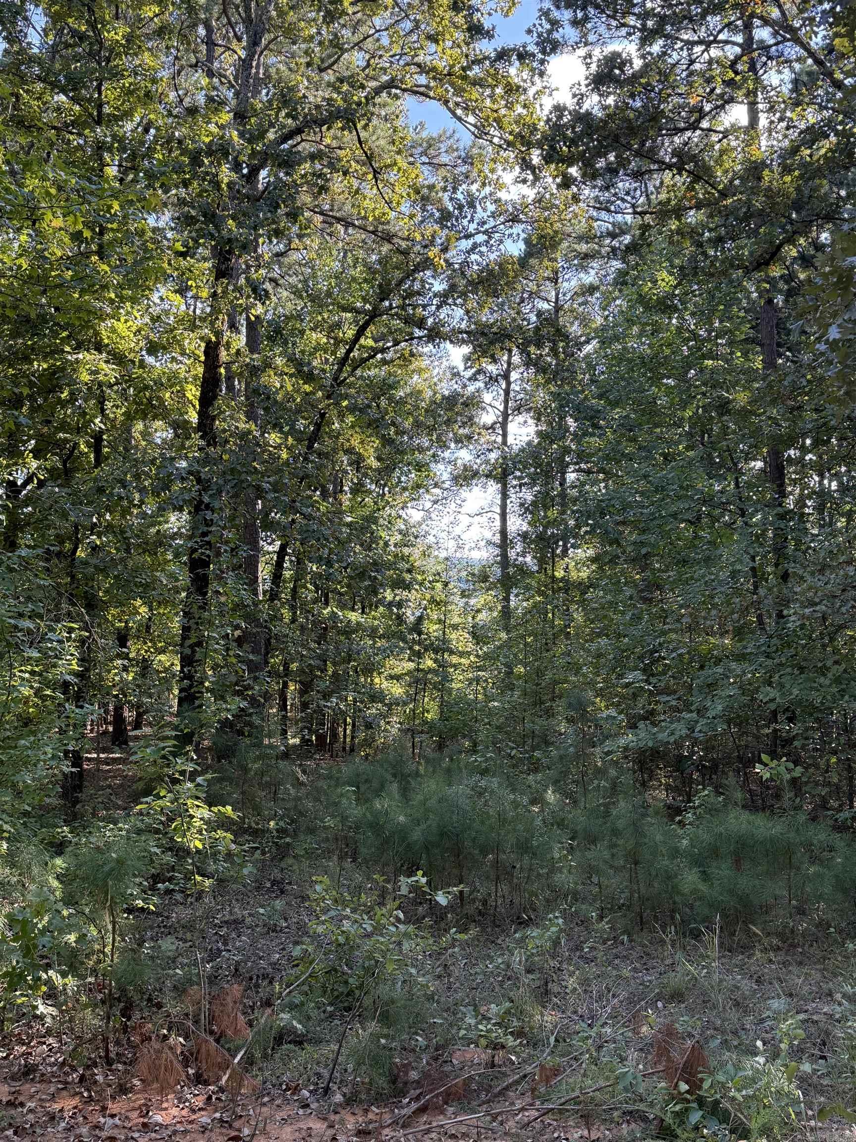 Lot 4 Island Shores Drive Drasco, AR 72530