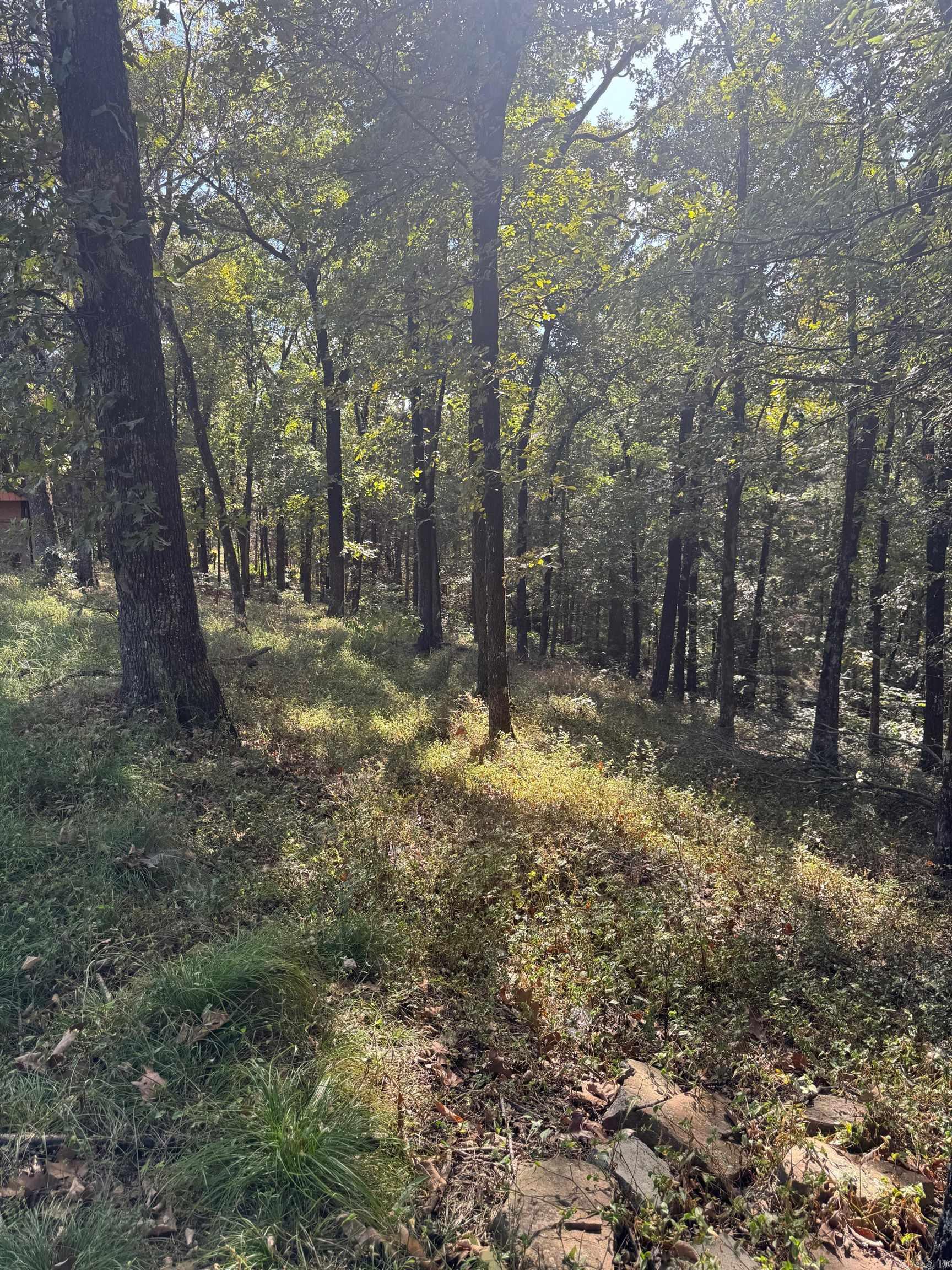 546 County Road 3361  Clarksville, AR