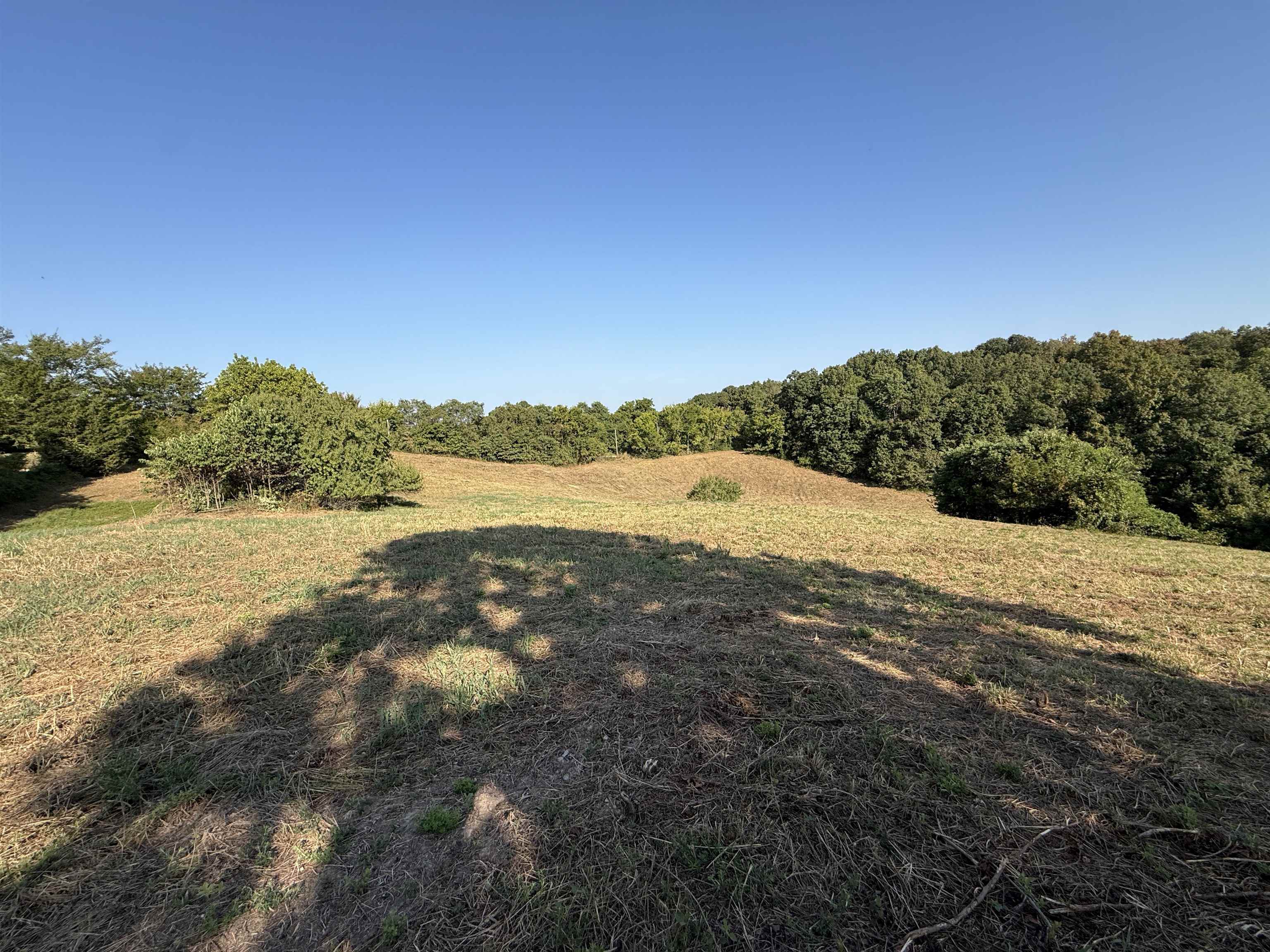 46A Lafferty Road  Mount Pleasant, AR