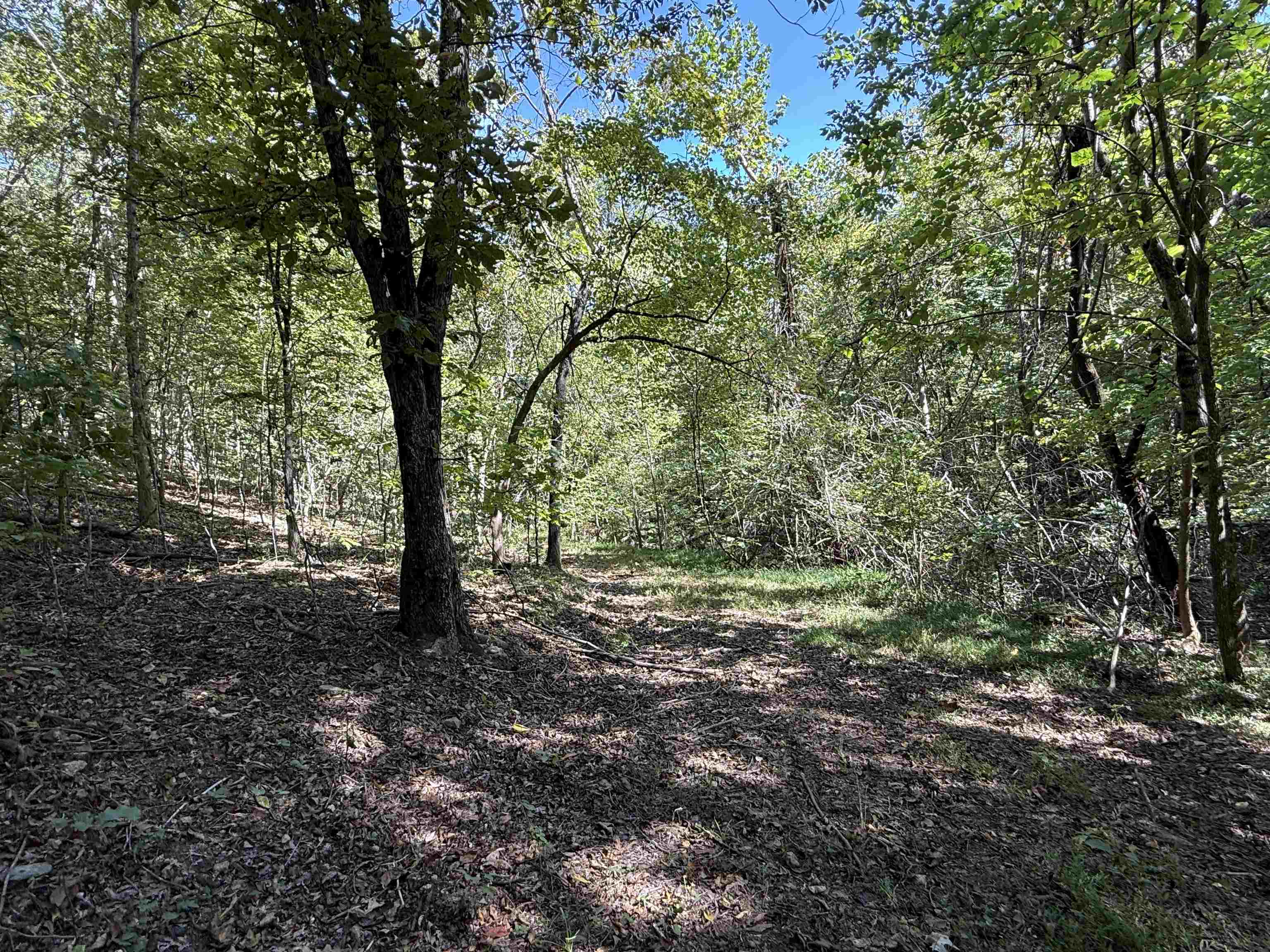 46A Lafferty Road  Mount Pleasant, AR