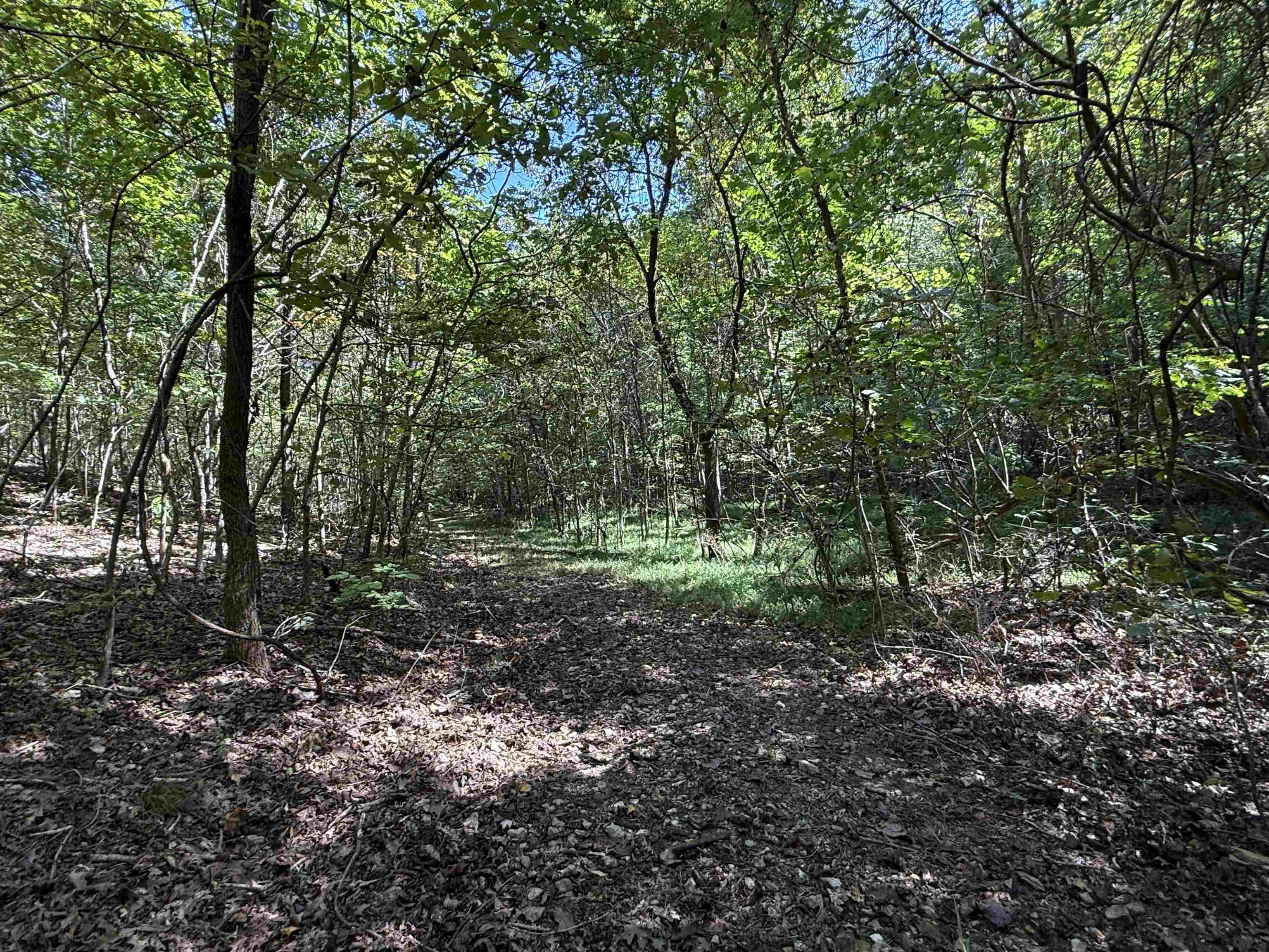 46A Lafferty Road  Mount Pleasant, AR