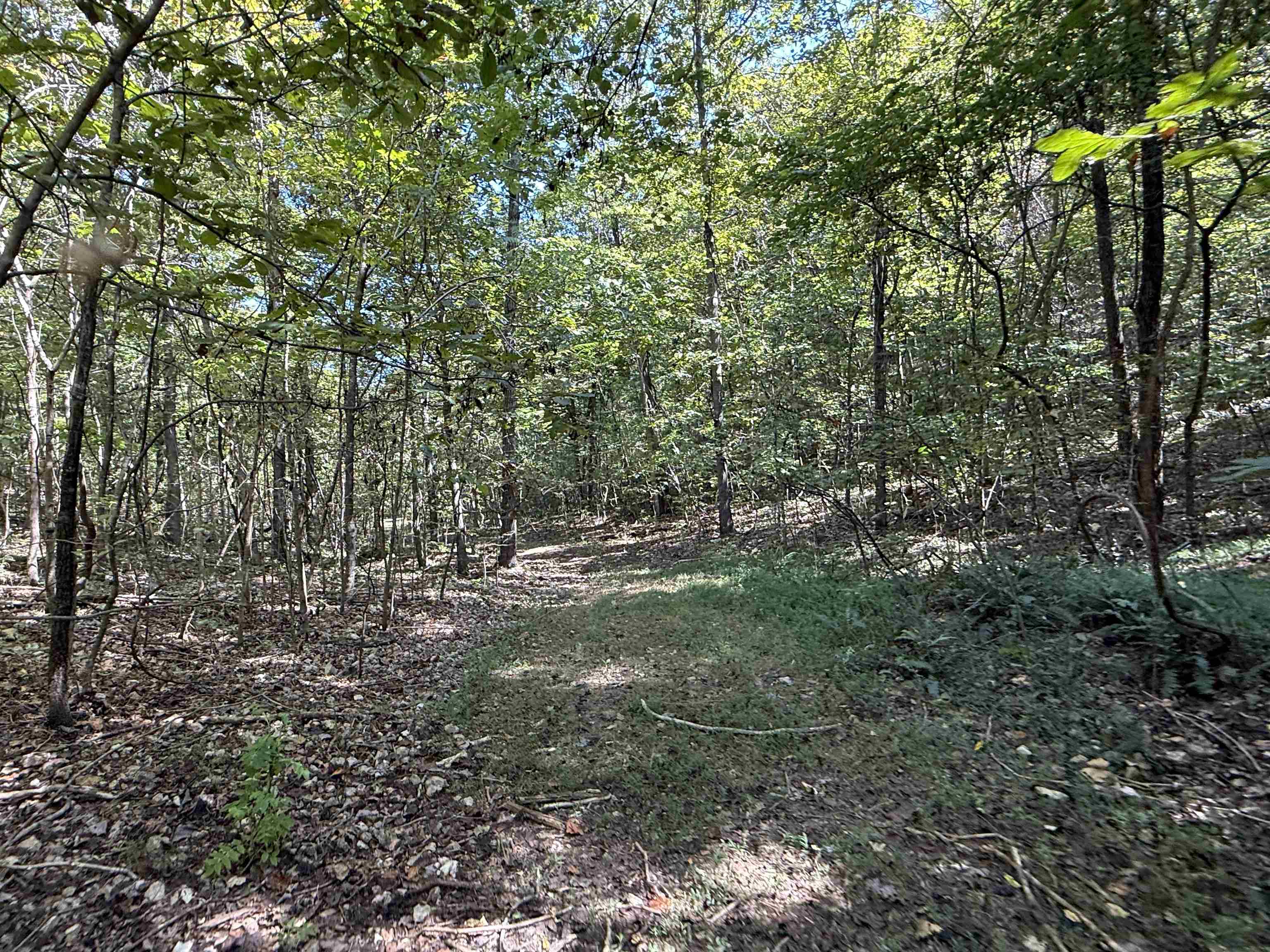 46A Lafferty Road  Mount Pleasant, AR